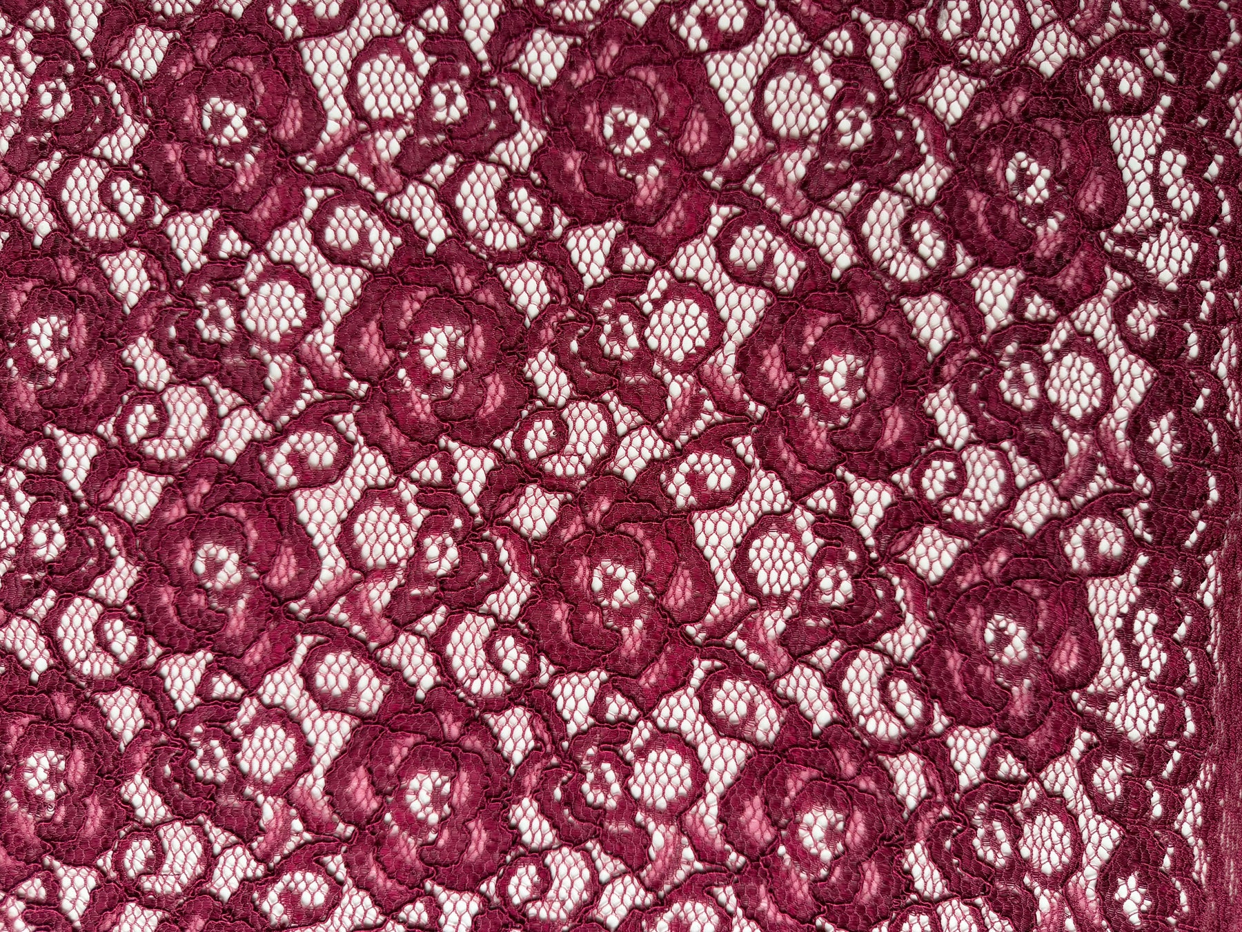Wine Corded Stretch Lace - P619