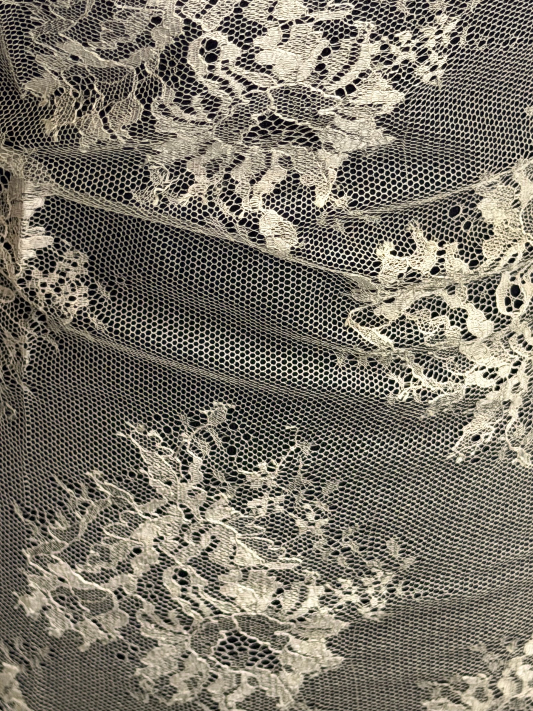 Taupe 100% Silk Italian Lace - P272
