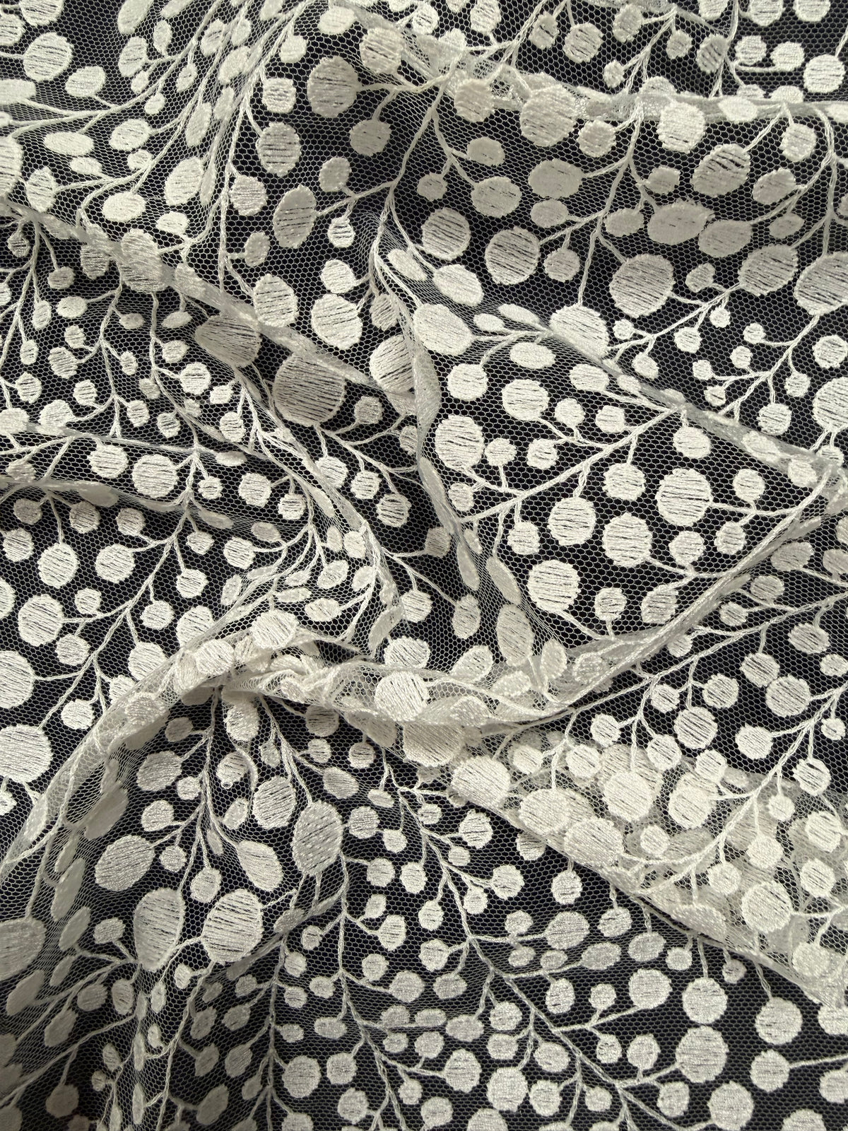Ivory Contemporary Embroidered Lace - EB5040