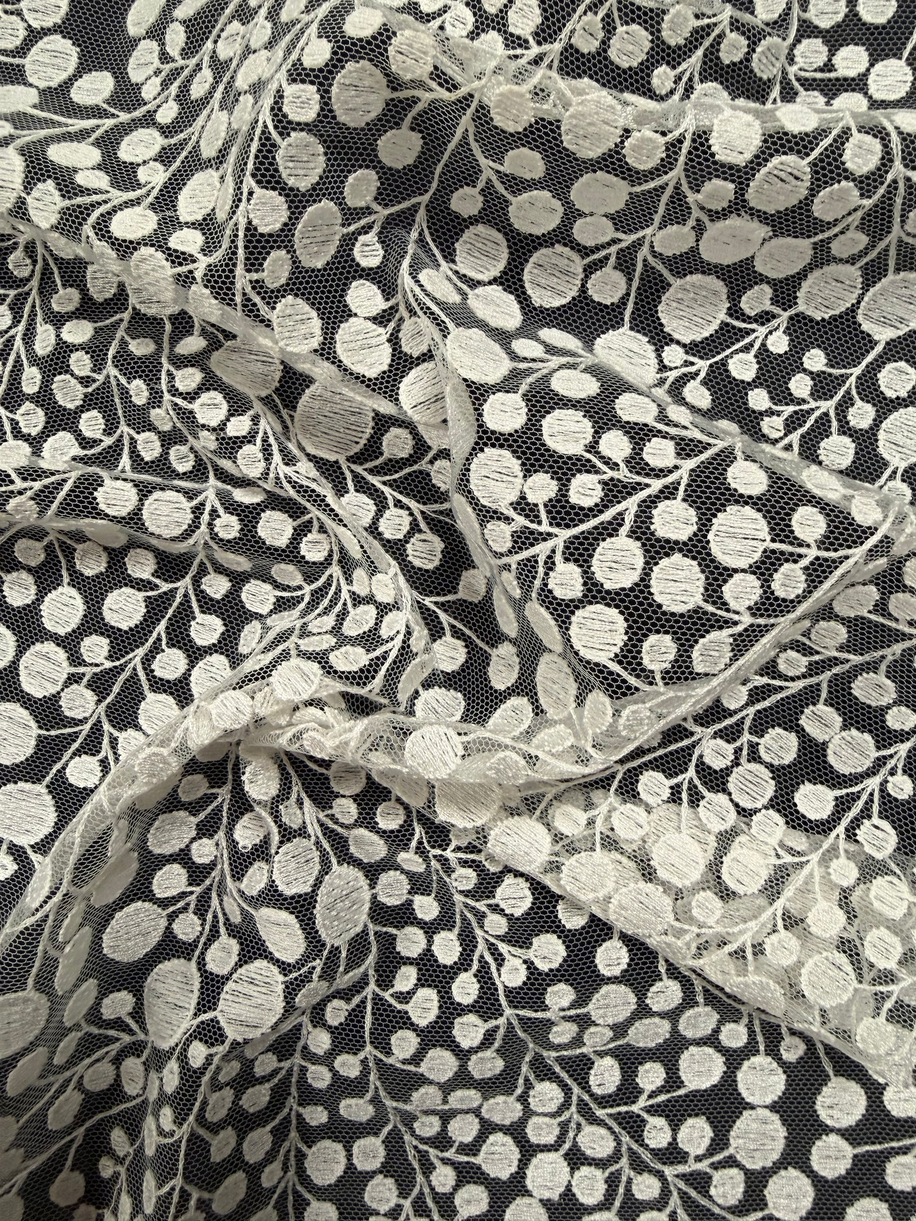 Ivory Contemporary Embroidered Lace - EB5040