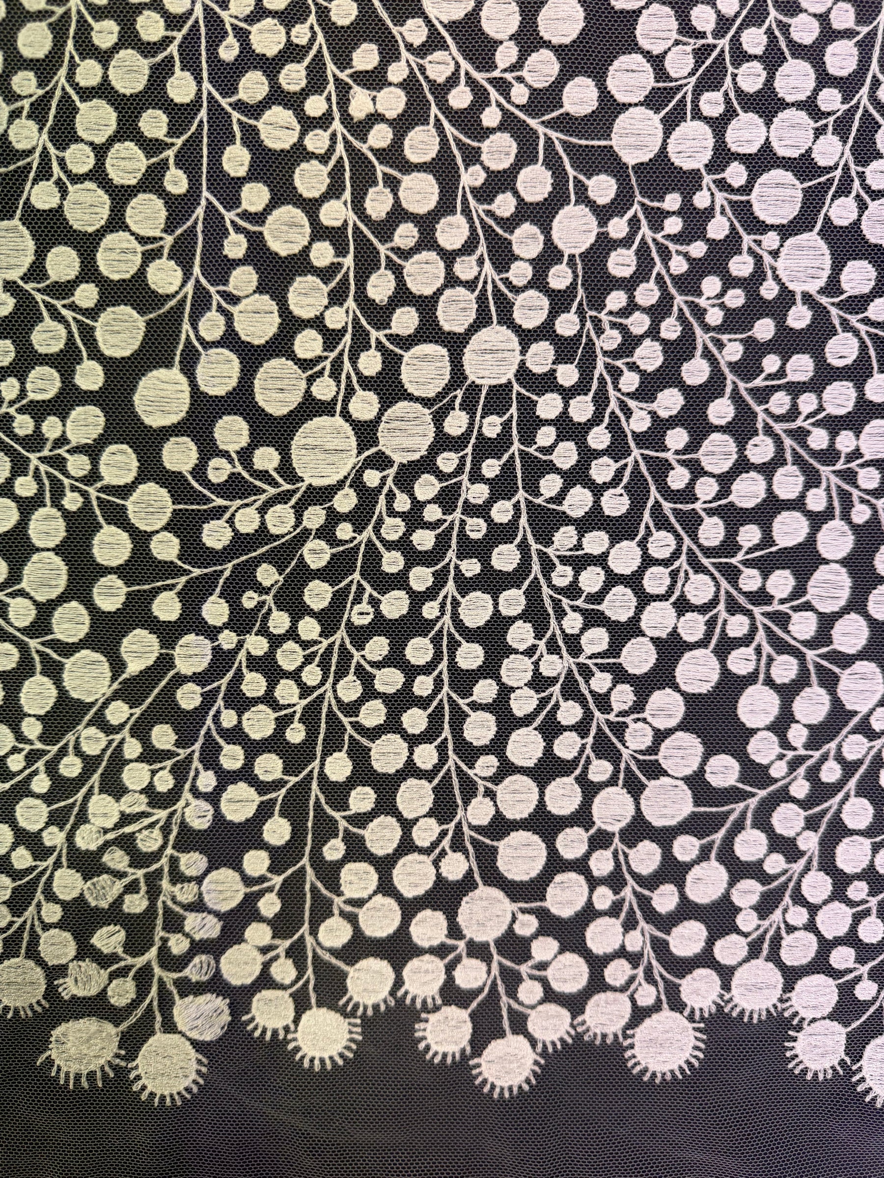 Ivory Contemporary Embroidered Lace - EB5040