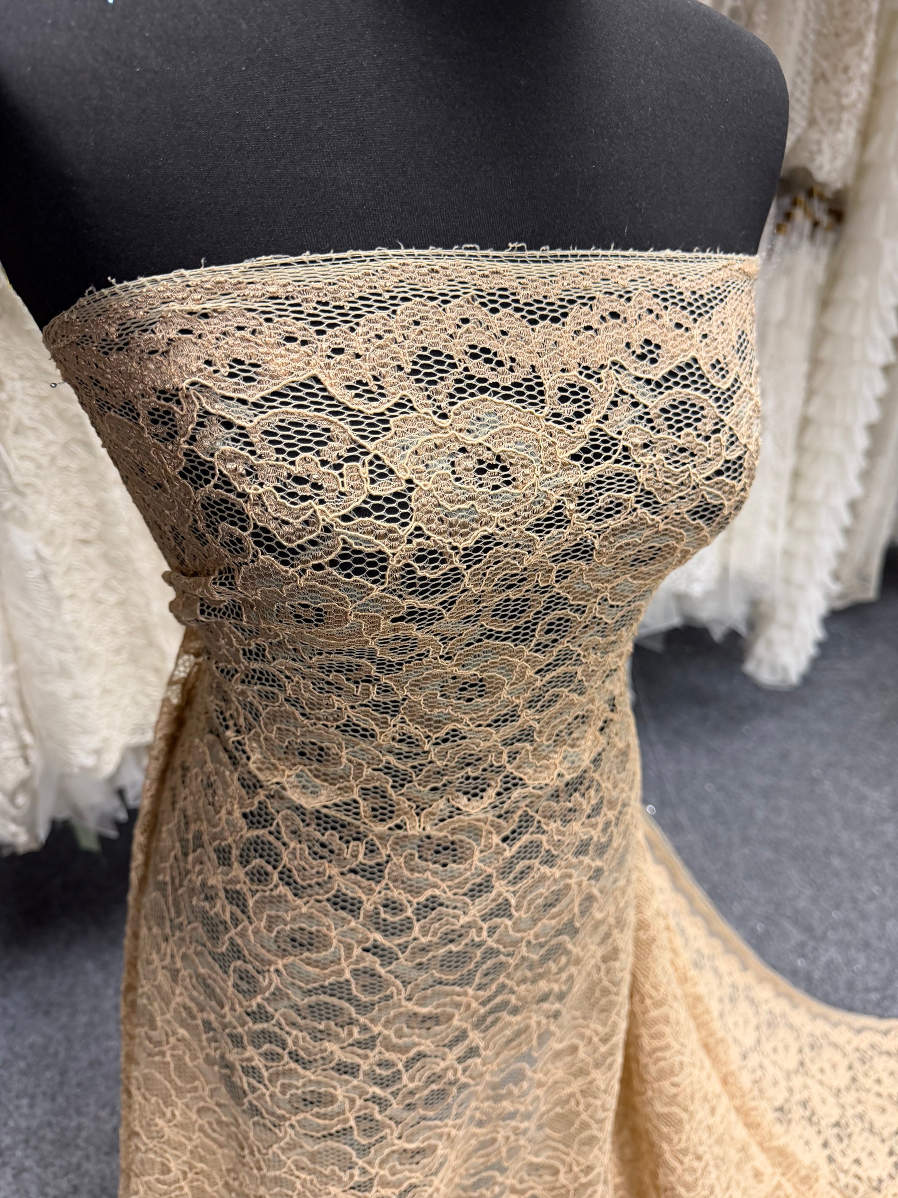 Beige Corded Stretch Lace - P619