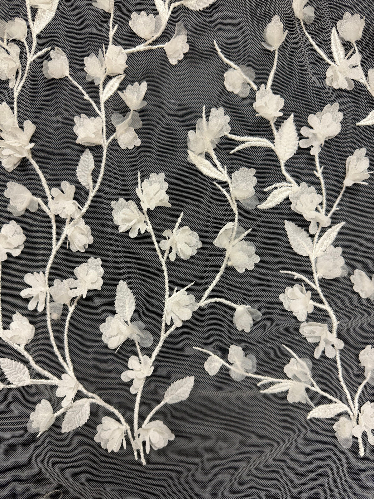 Ivory Laser Lace - EB5019