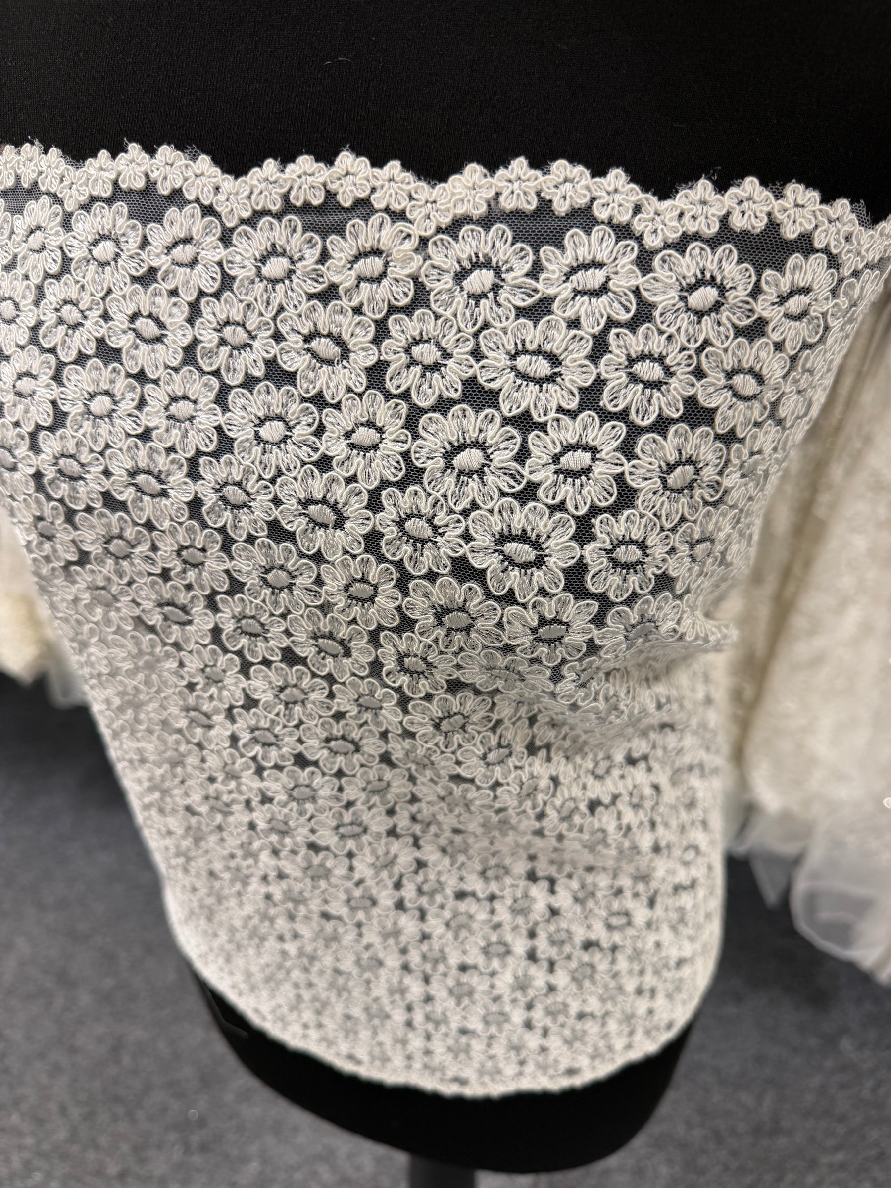Ivory Corded Lace Trim - T624