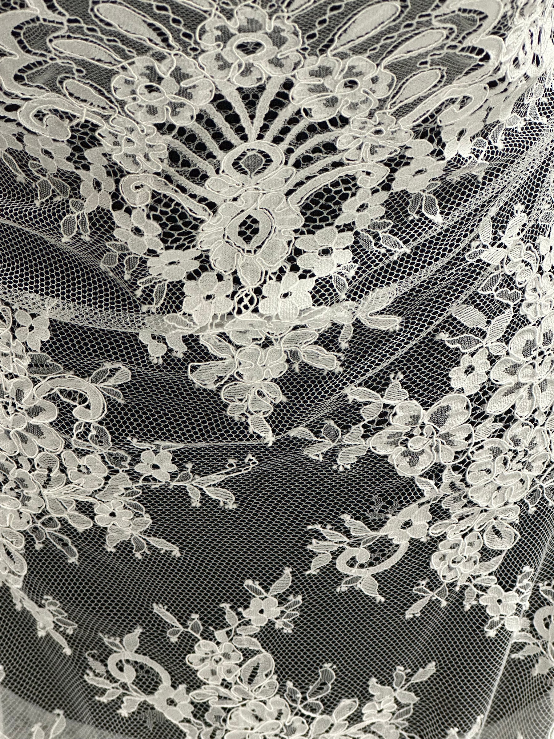 Ivory Corded Floral Lace – Faraday