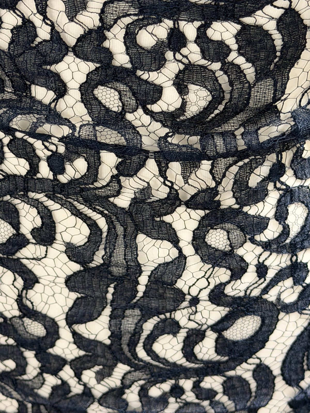 Navy Blue Italian Lace - P883