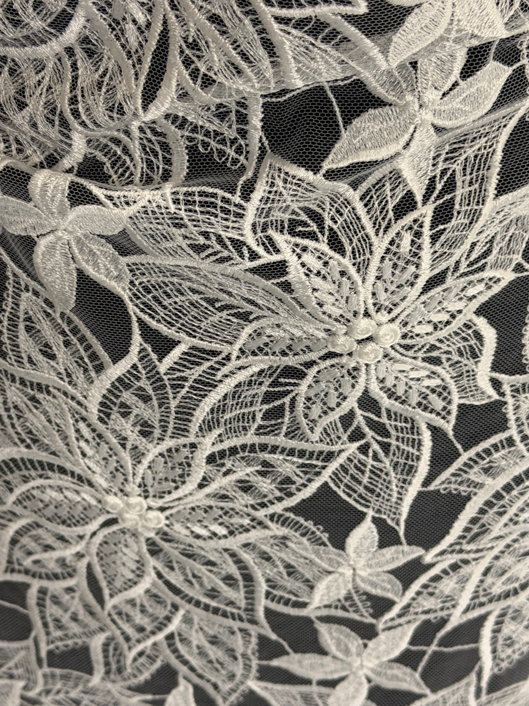 Ivory Embroidered Lace - Lalita