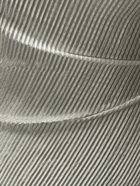 Ivory Pleated Polyester Fabric - Leeway