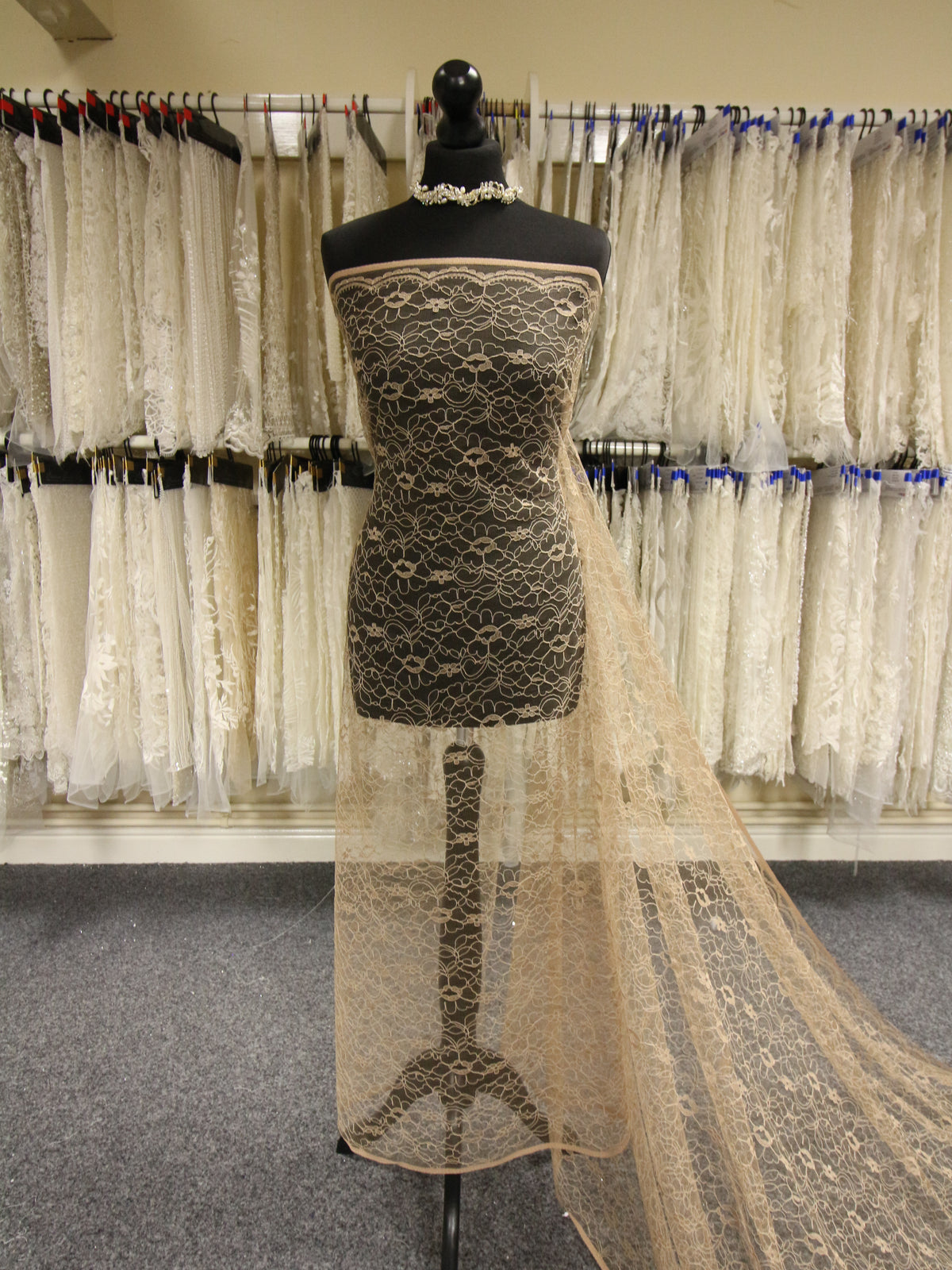 Cappuccino Corded Lace - Leanne