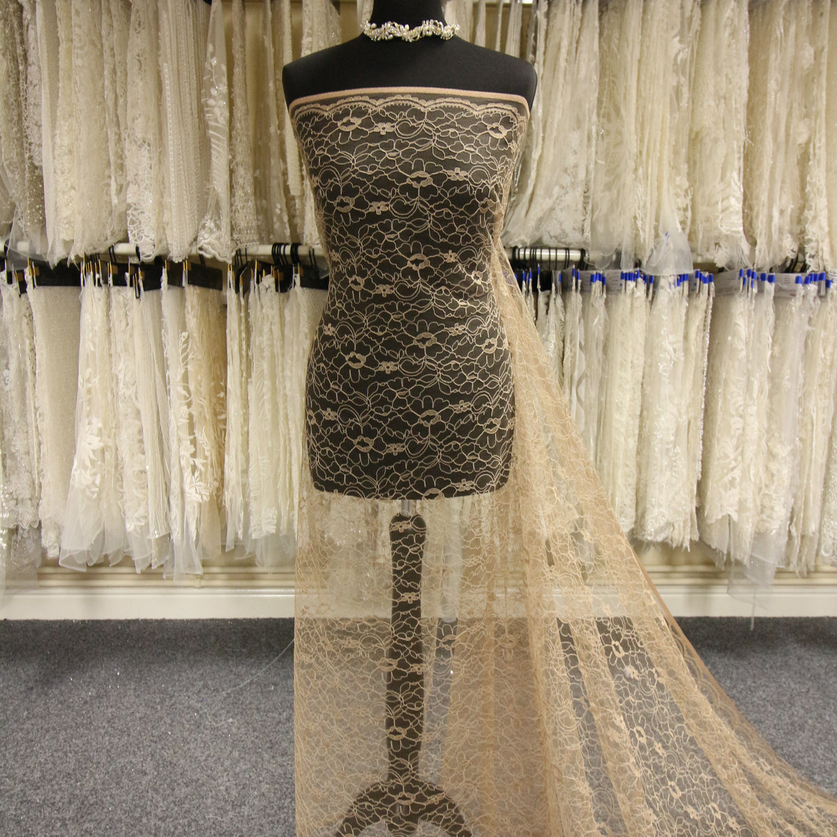 Cappuccino Corded Lace - Leanne