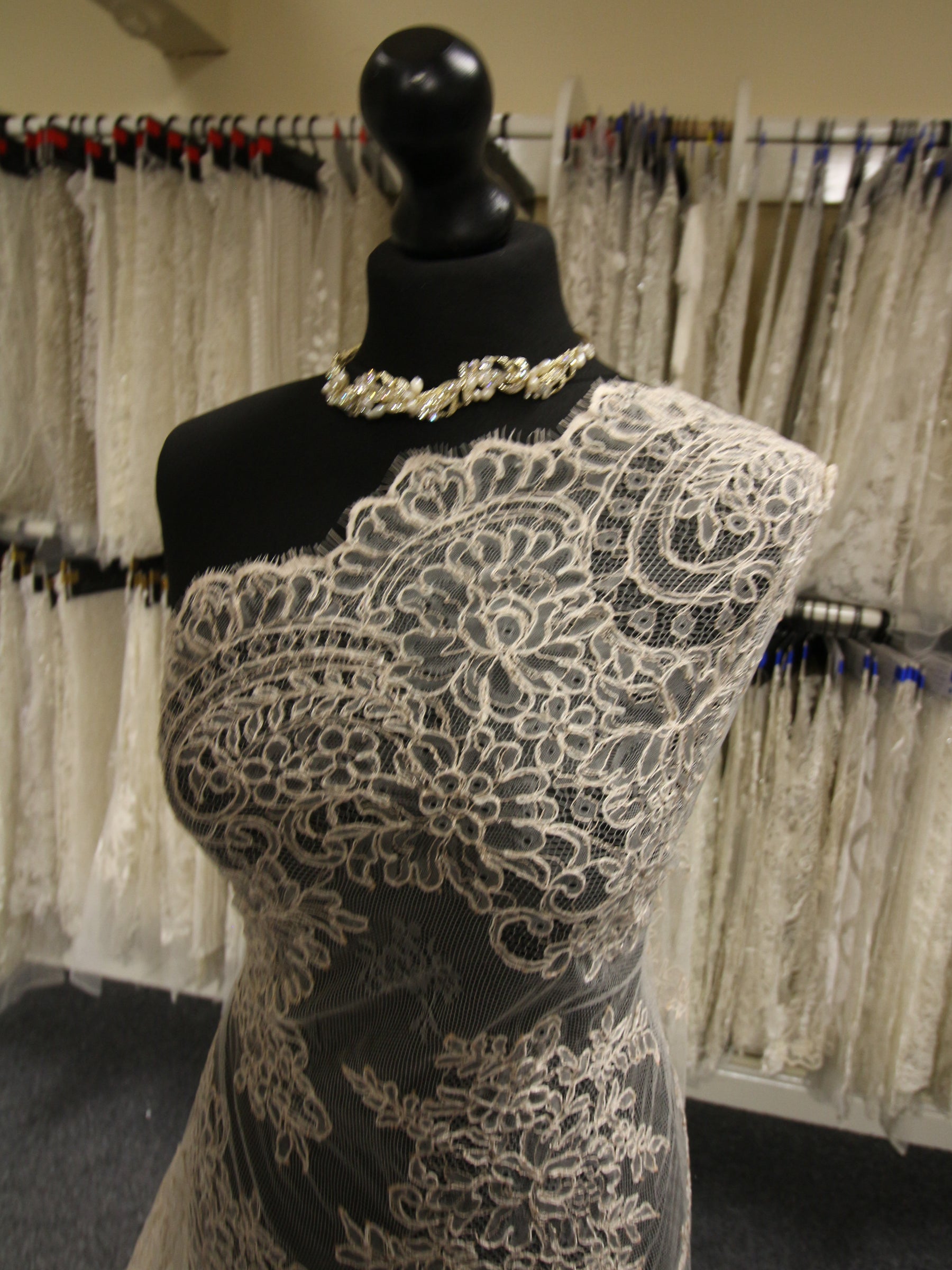 Champagne Corded Lace - Millicent