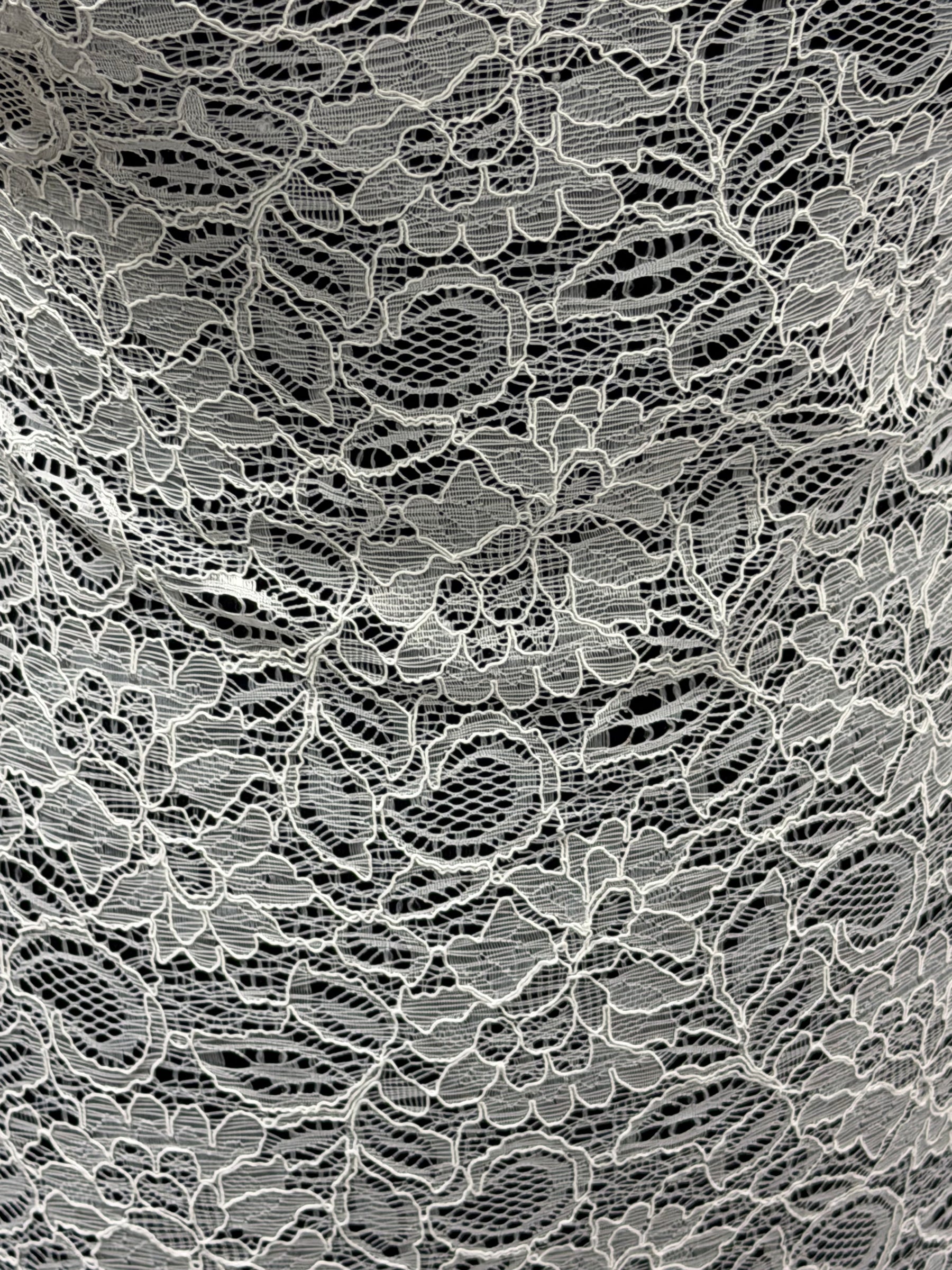 Ivory Corded Lace - Tocca