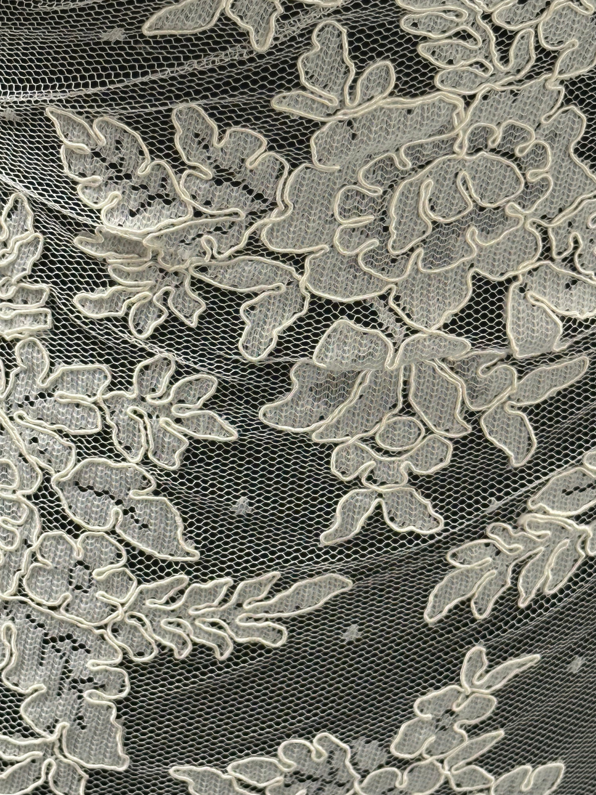 Ivory Corded Lace - Bernice (CF)