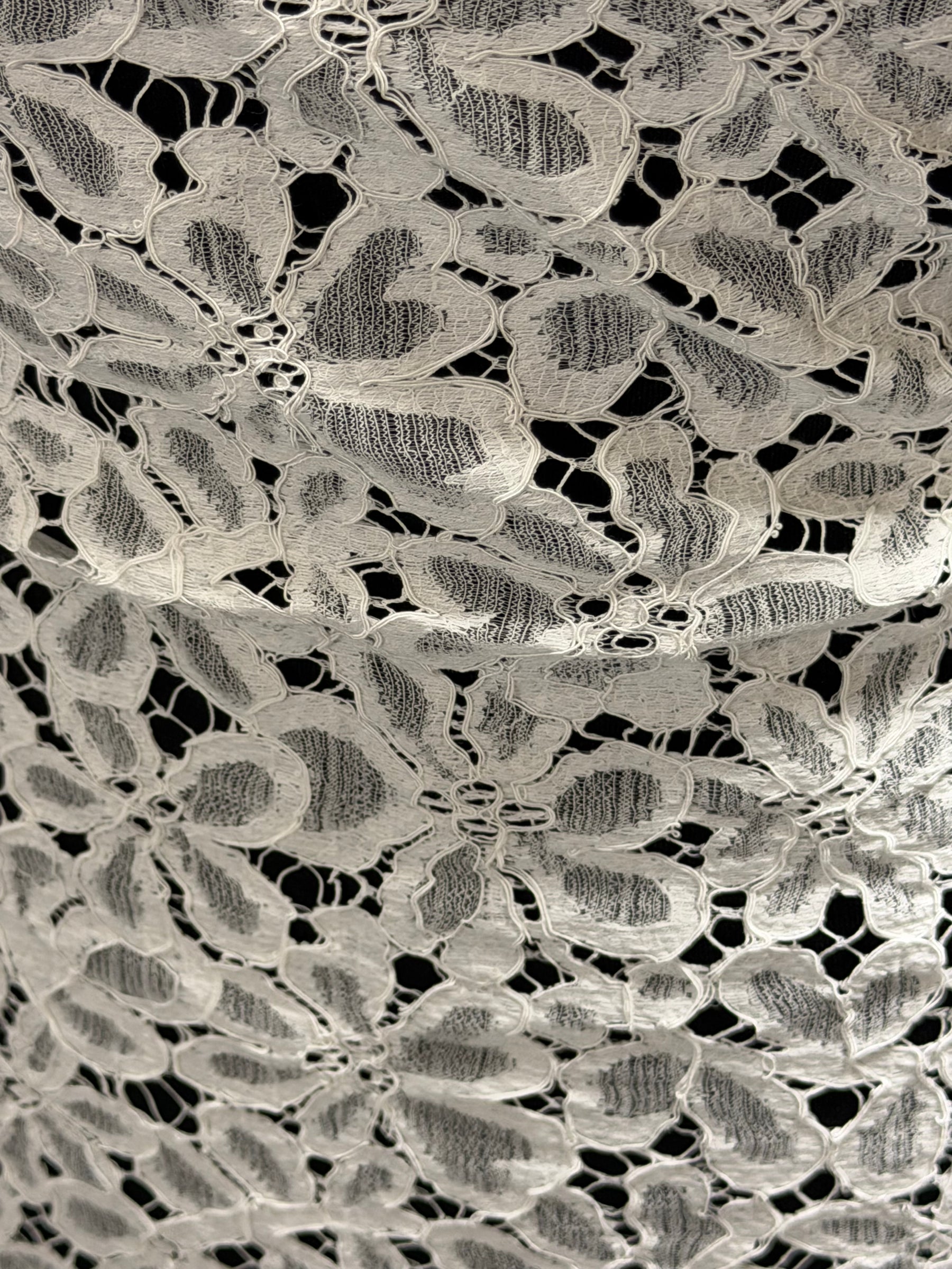 Ivory Corded French Lace - LA4006