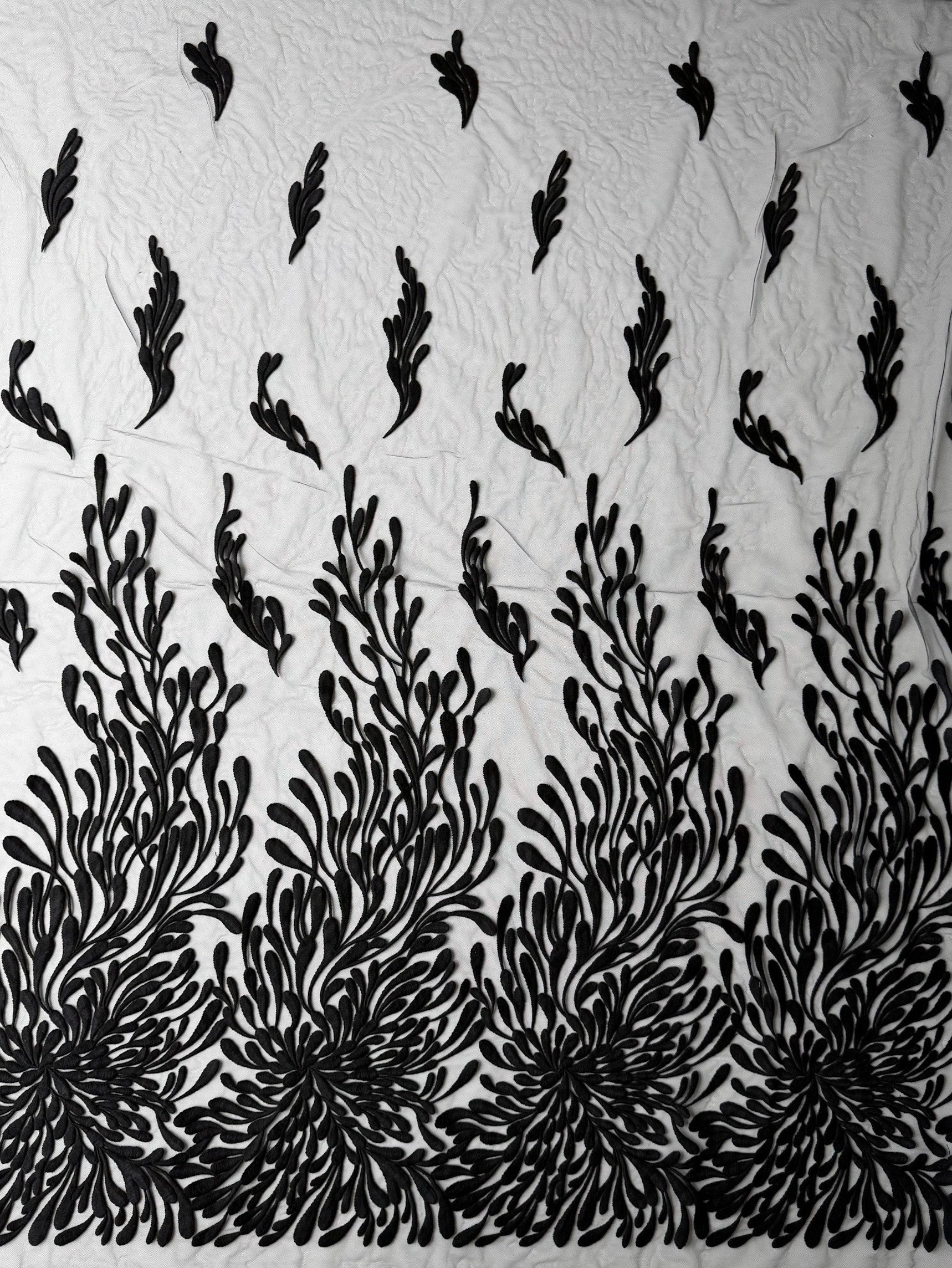 Black Embroidery Lace - EB5053