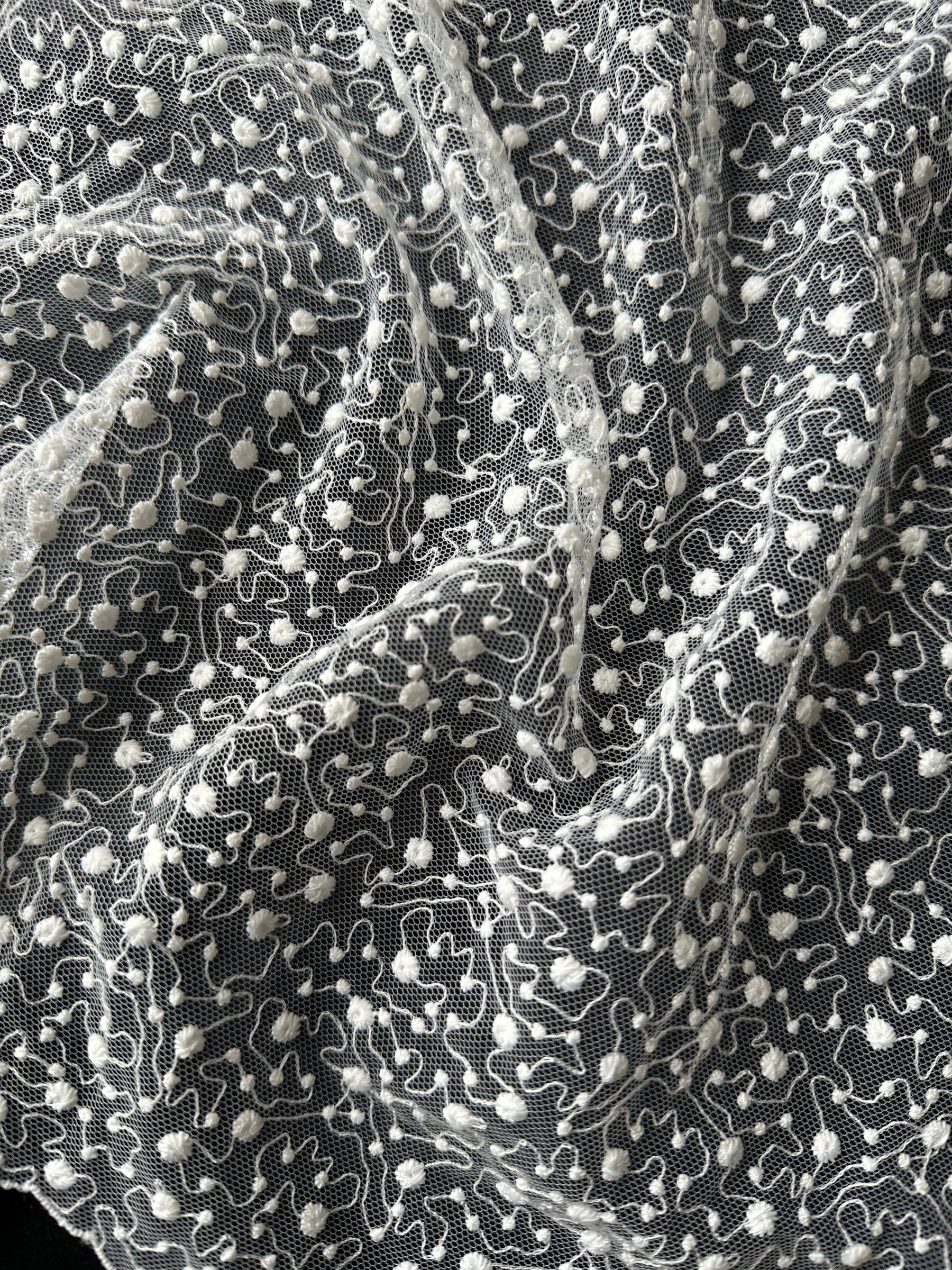 Ivory Embroidered Lace - EB5027