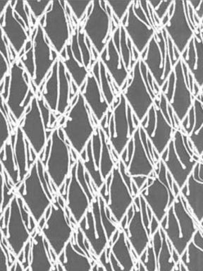 Ivory Embroidered 3D Lace - EB5029