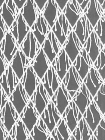 Ivory Embroidered 3D Lace - EB5029