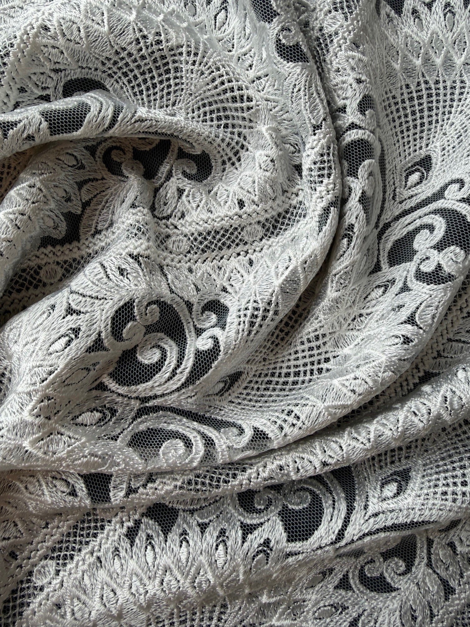 Ivory Embroidered Lace - EB5044