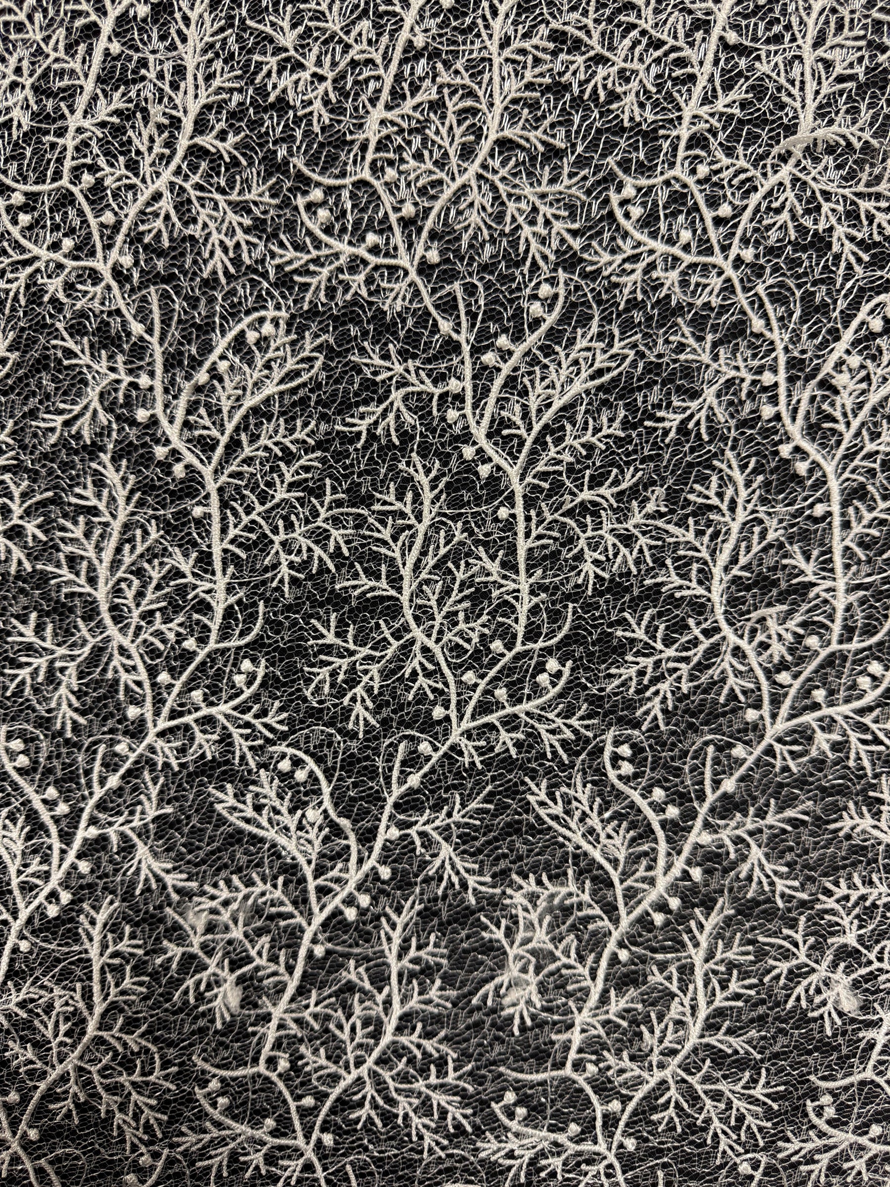 Ivory Embroidery Lace - EB5054