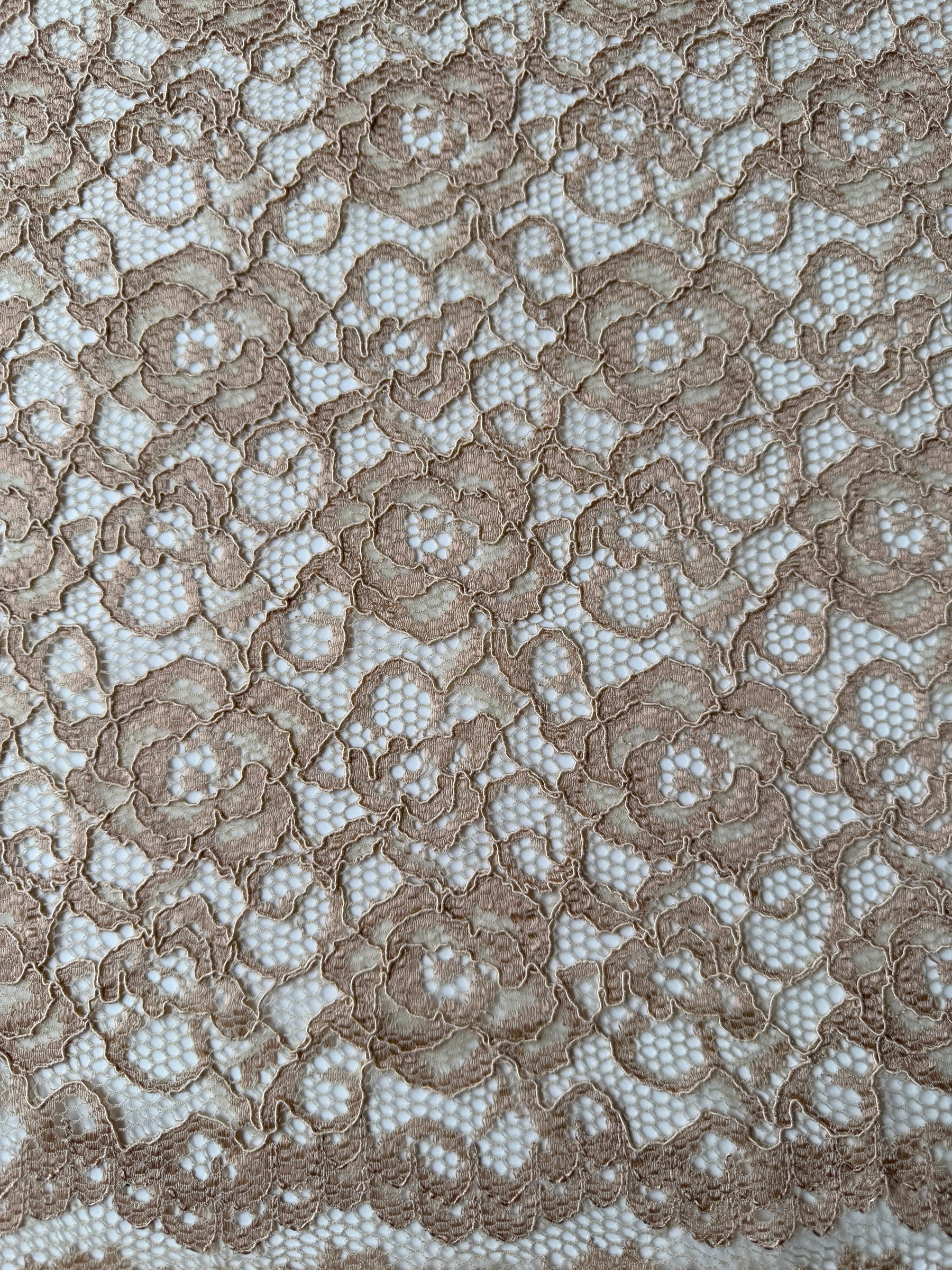 Beige Corded Stretch Lace - P619