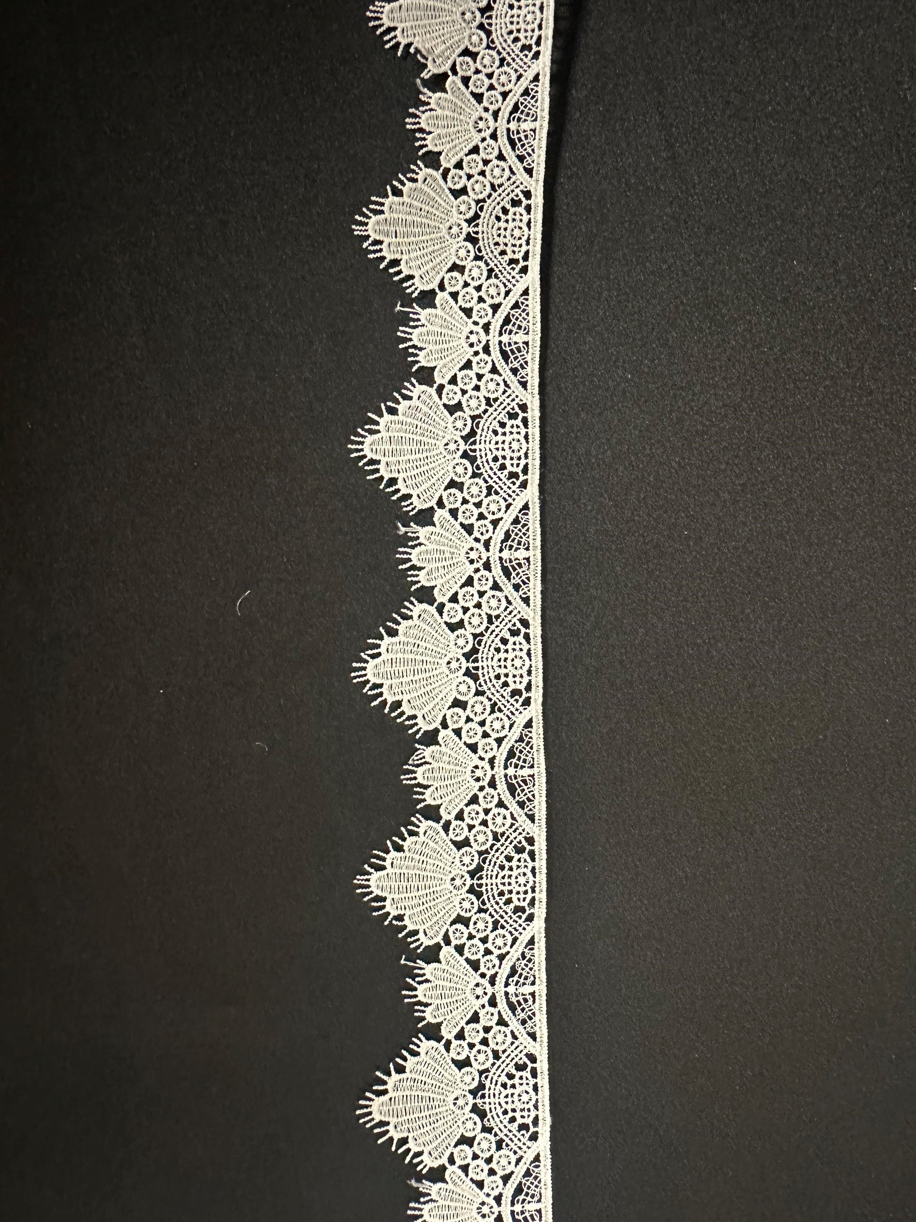 Ivory Lace Trim - Hornbeam