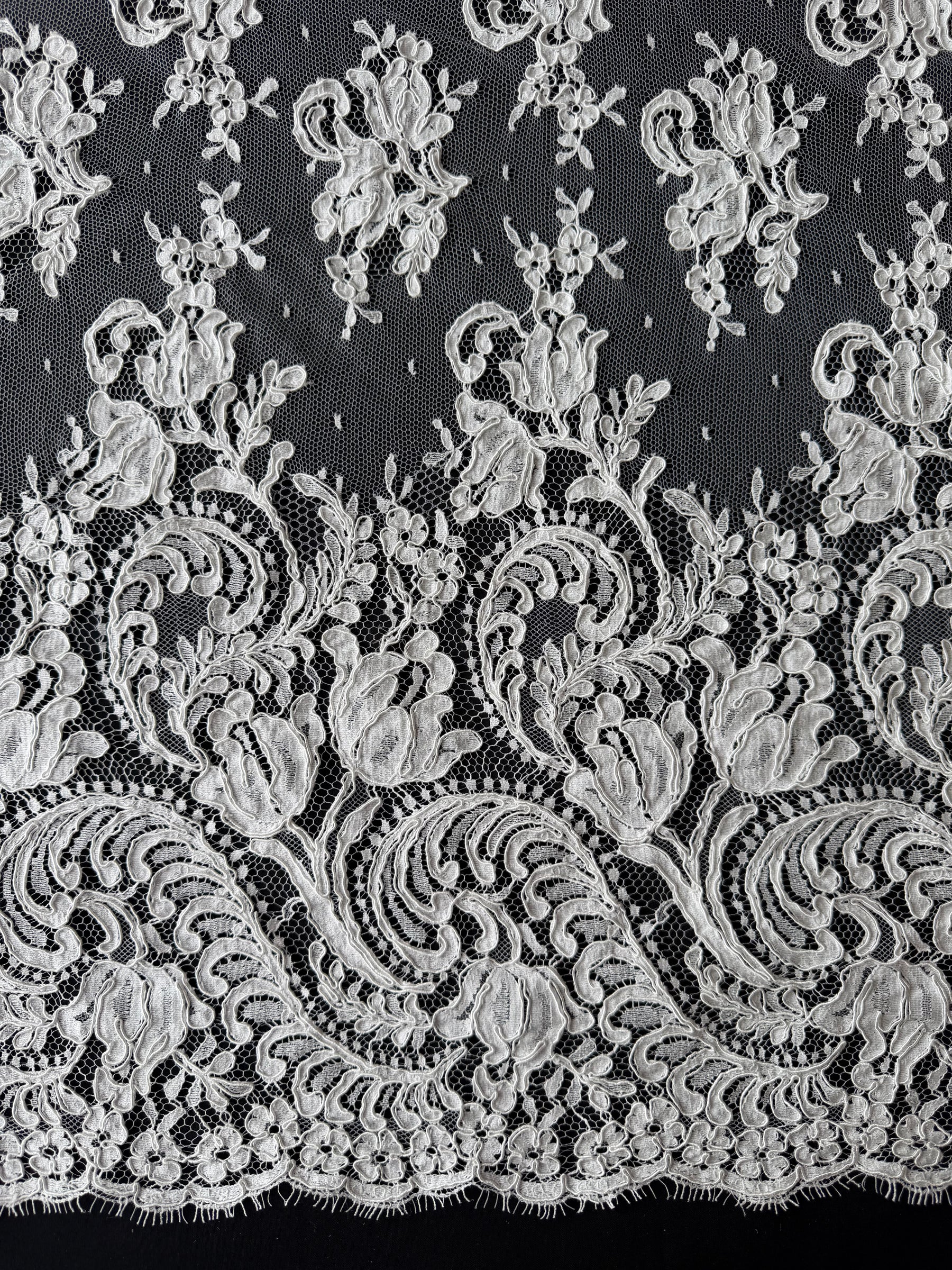 Ivory Corded Chantilly Lace - Beckina