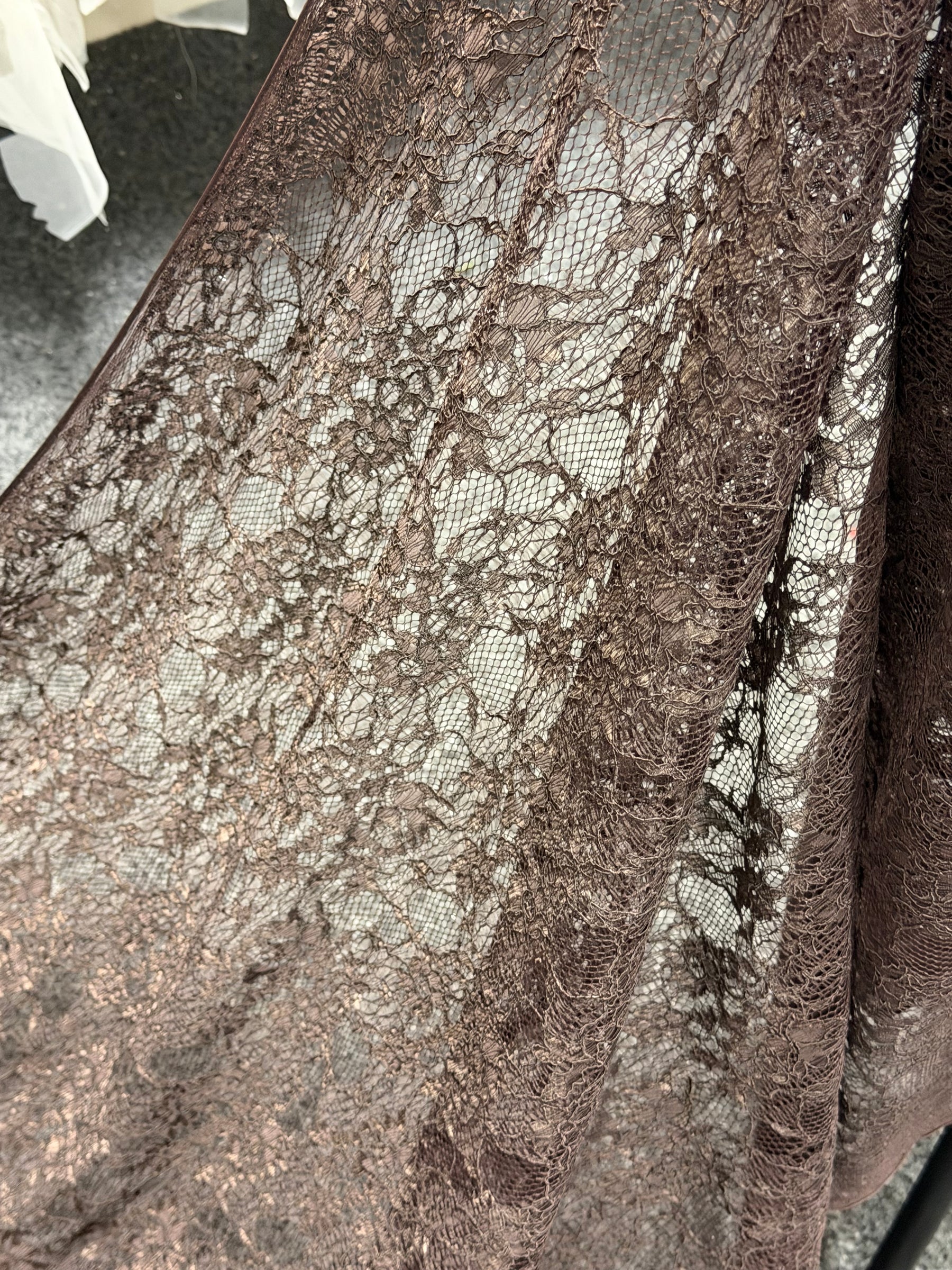 Chocolate Corded Lace - Landon