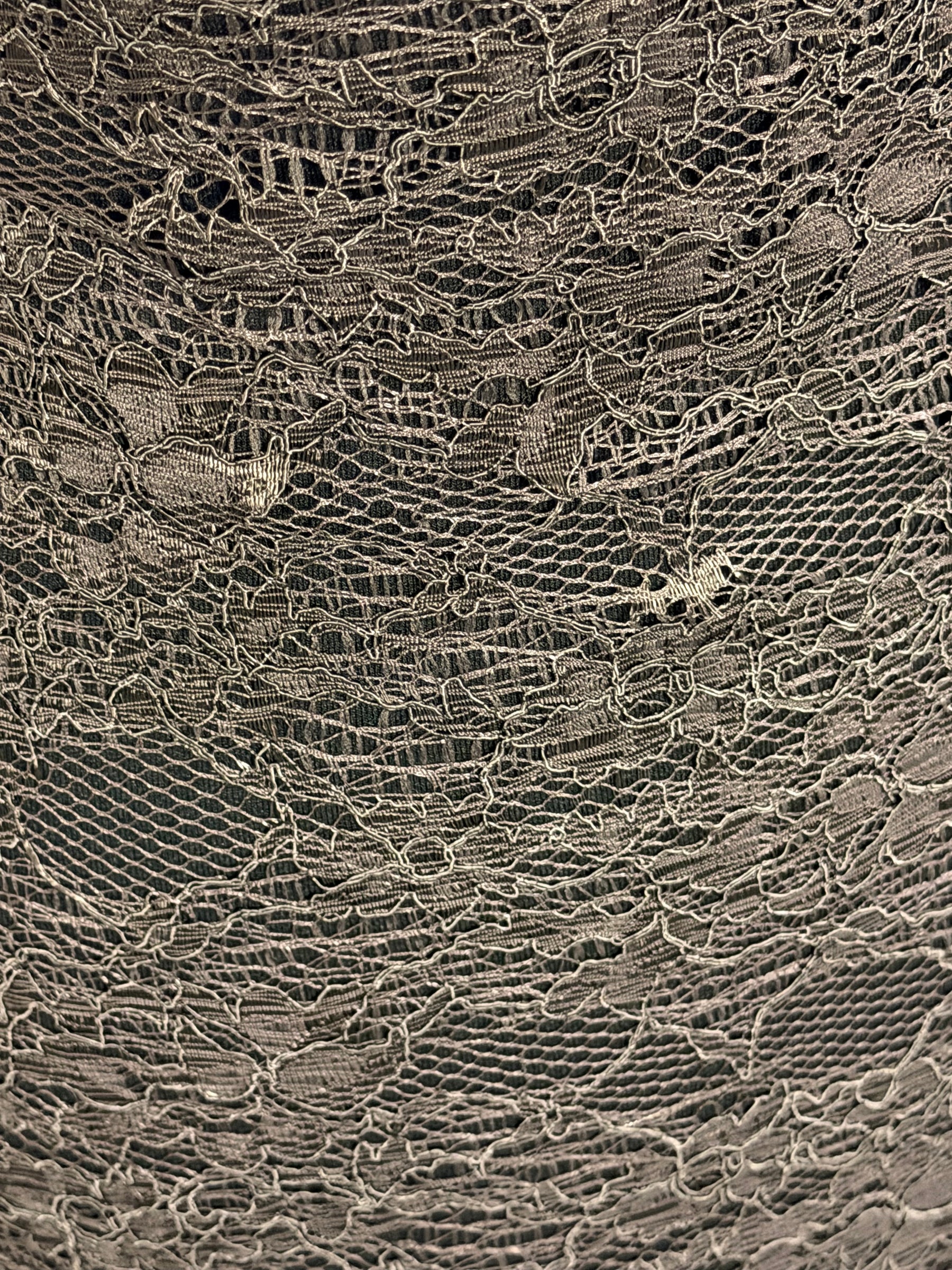 Chocolate Corded Lace - Landon