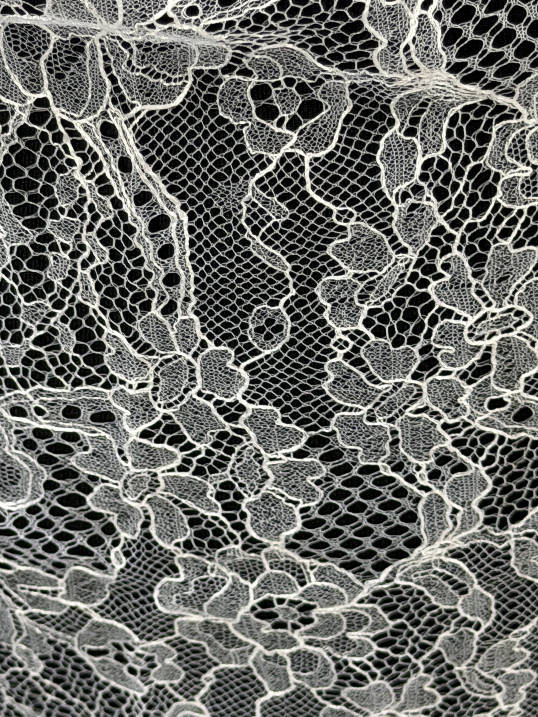 White Leavers Lace - P884