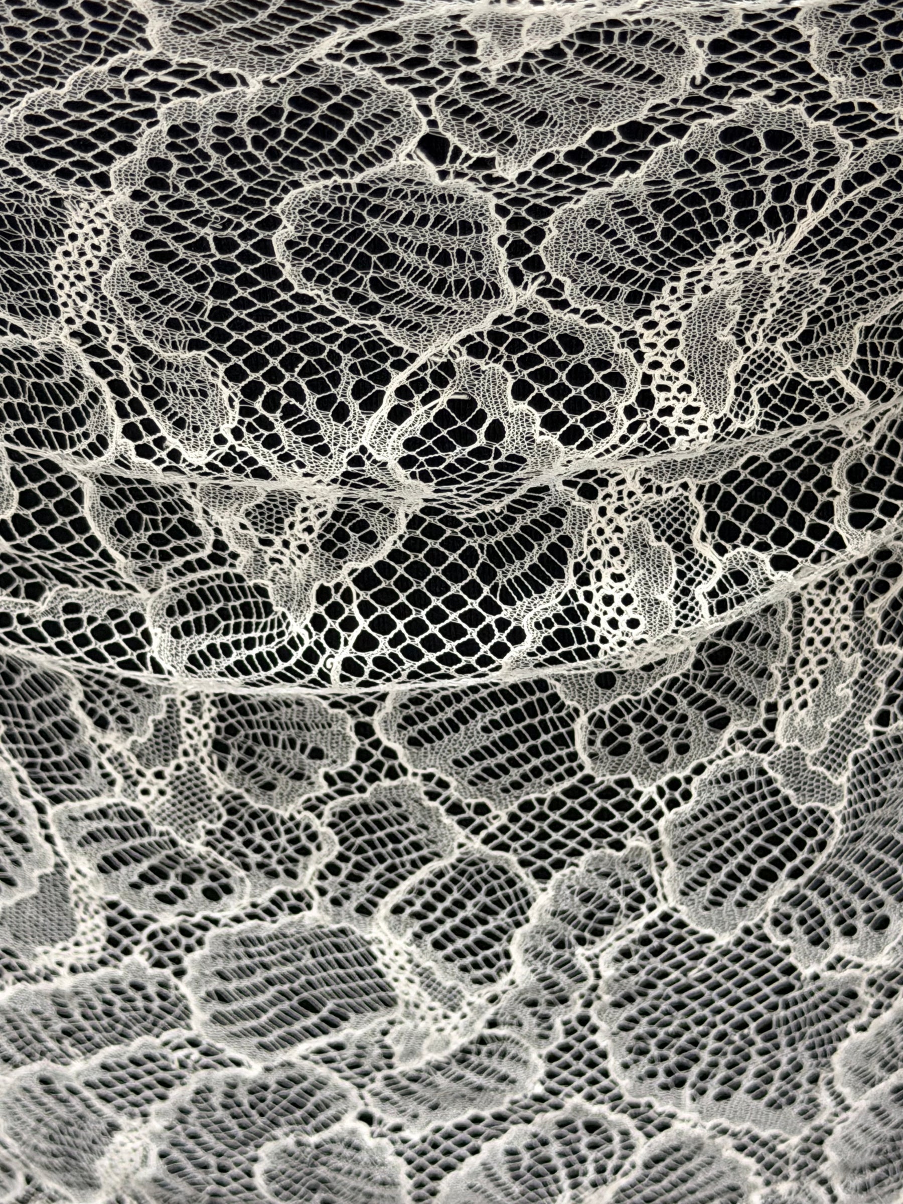 Ivory French Lace - LA2014
