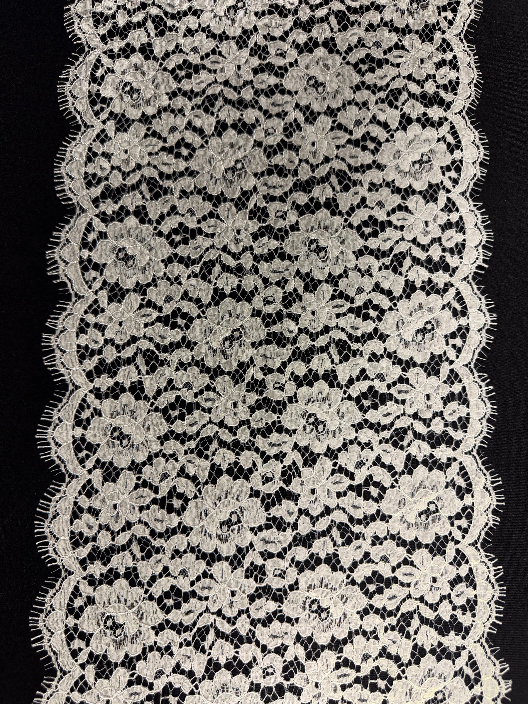 Ivory Corded Chantilly Lace Trim - T808