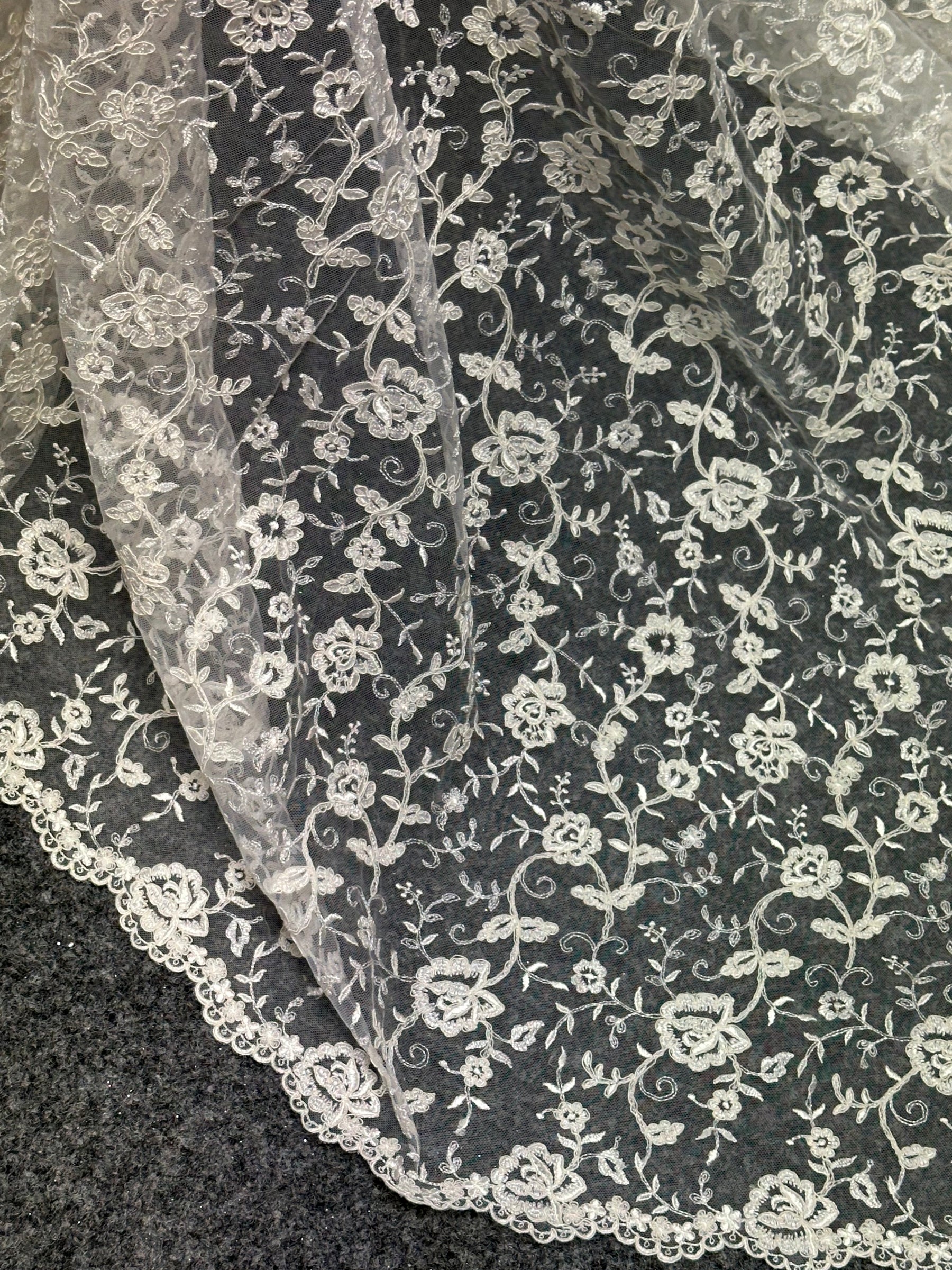 Ivory Corded Embroidery Lace - P430