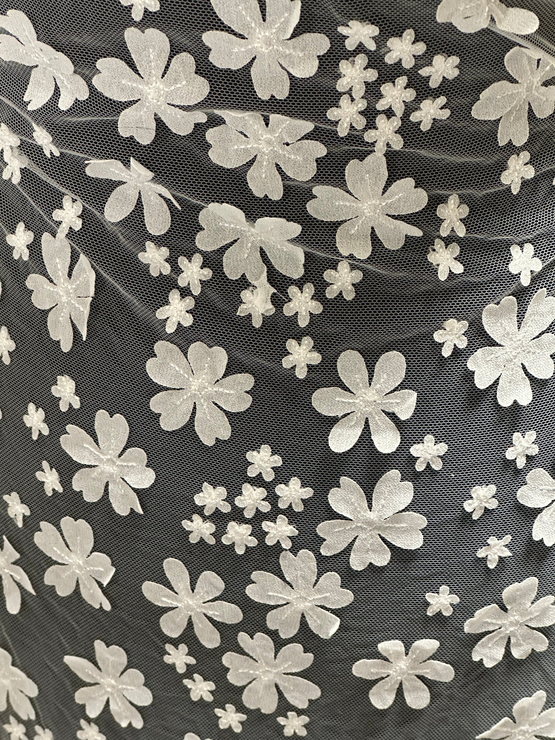 Ivory Embroidered Lace - EB5046