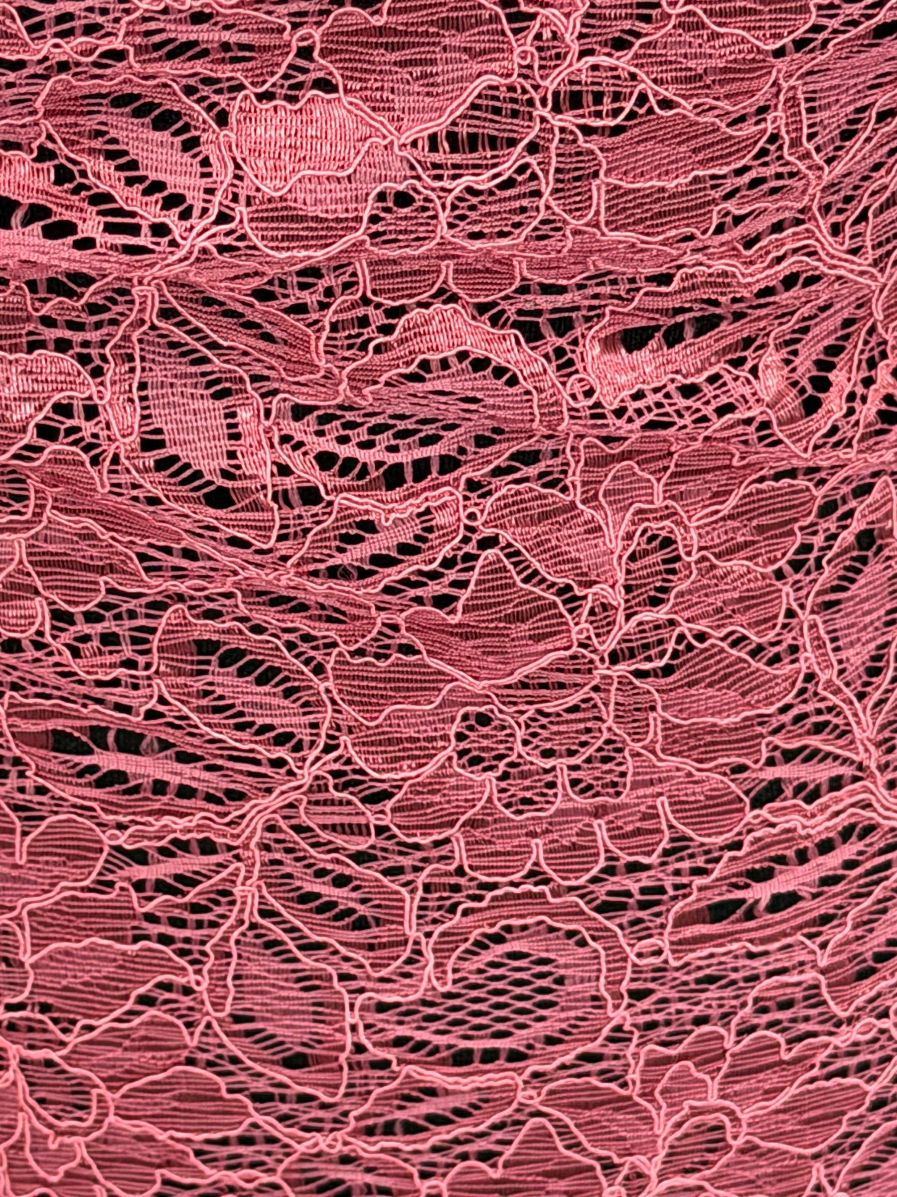 Desert Rose Corded Lace - Tocca