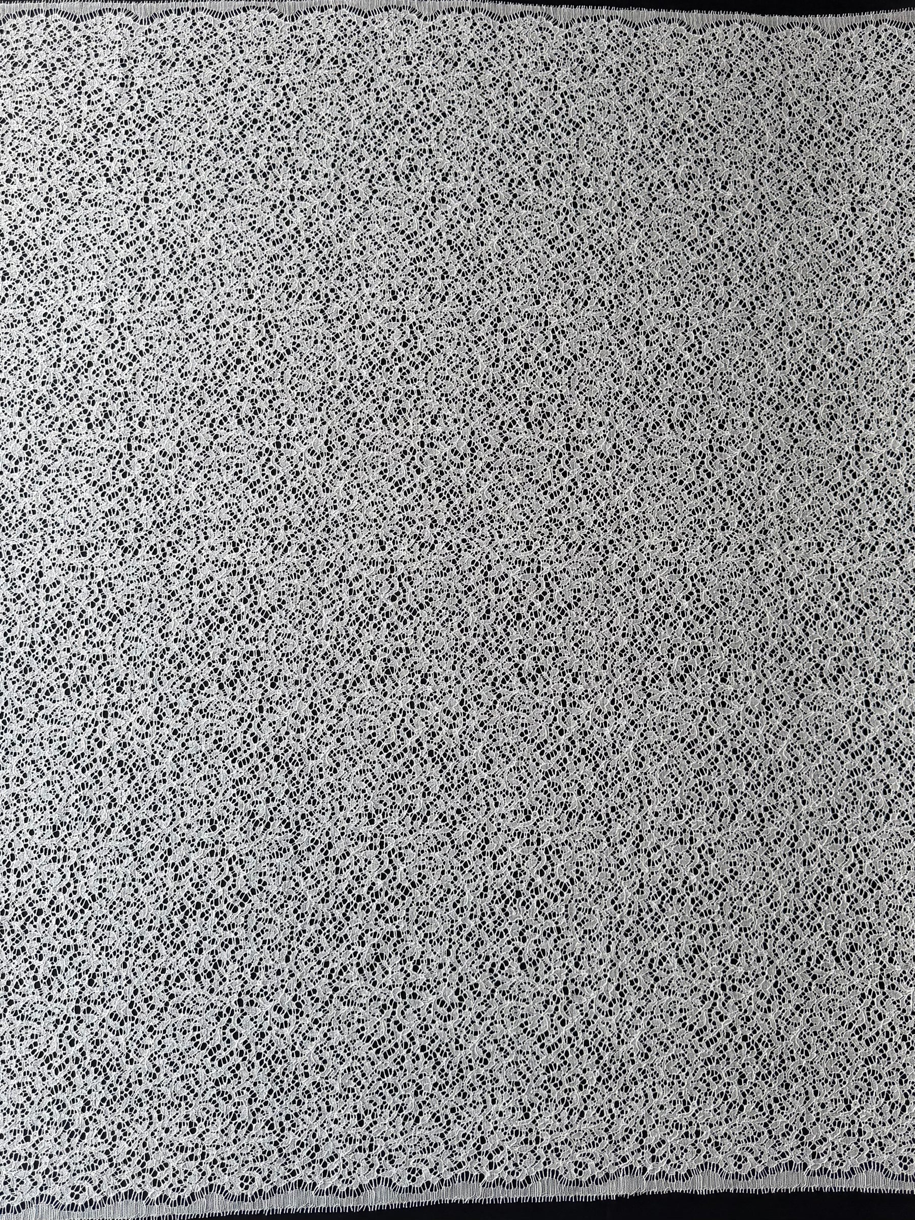 Ivory Corded French Lace - LA4005