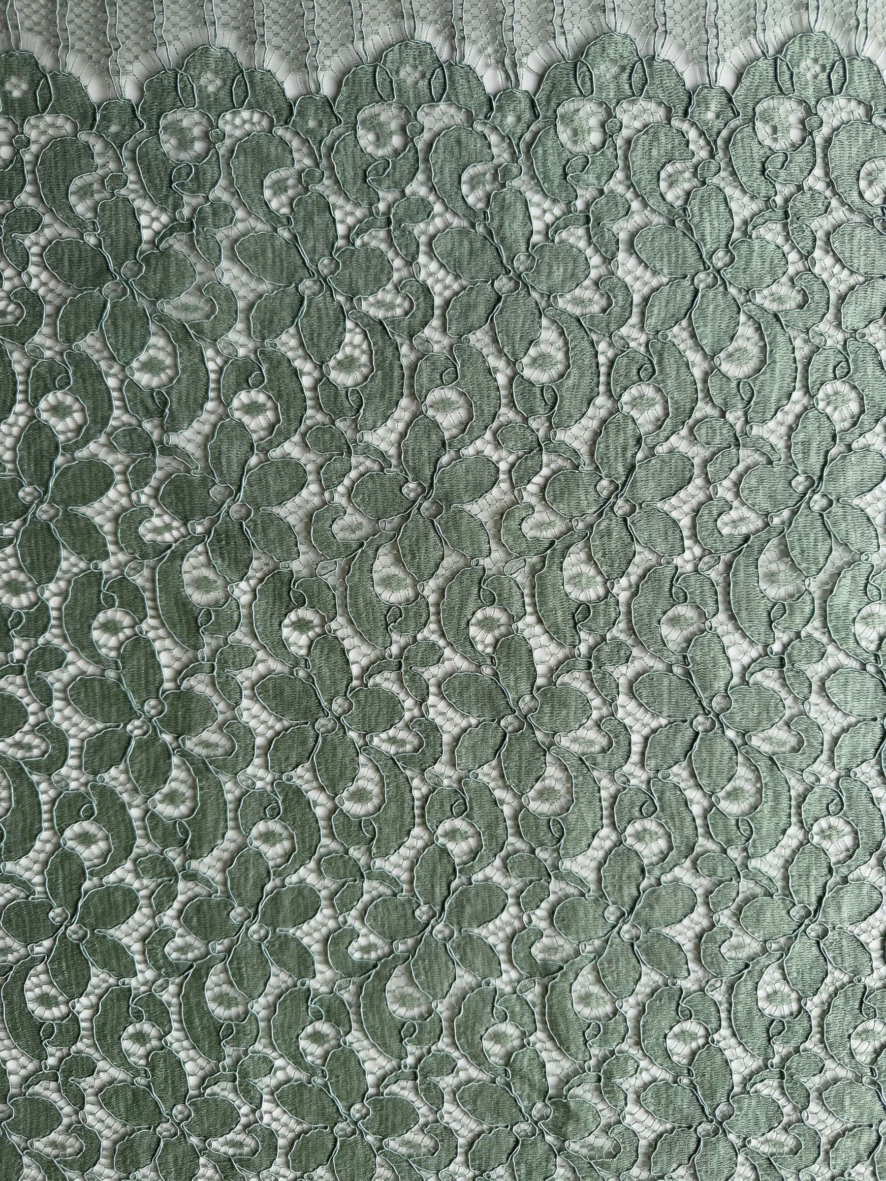 Peridot Green Corded French Lace - LA4008