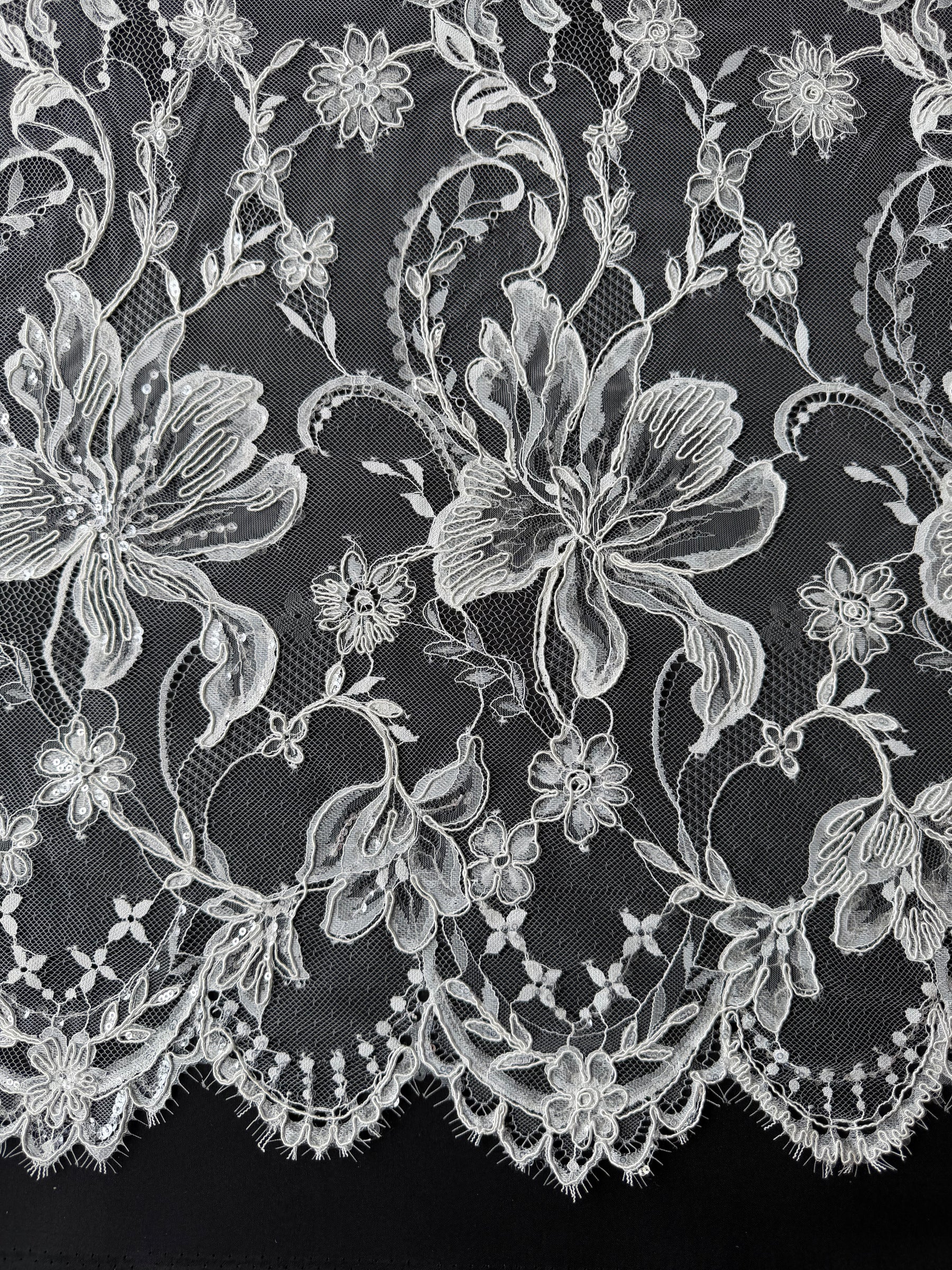Ivory Corded and Sequin Embellished Lace - Ladina
