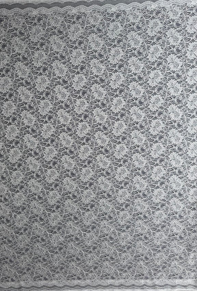 Ivory Corded Lace - Tocca