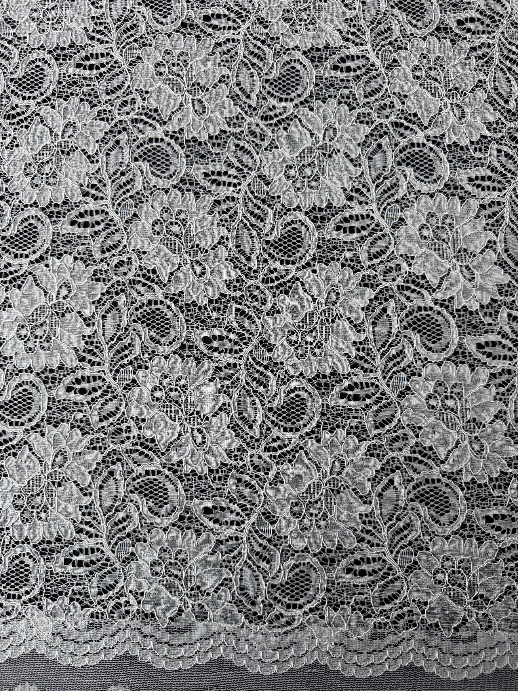 Ivory Corded Lace - Tocca