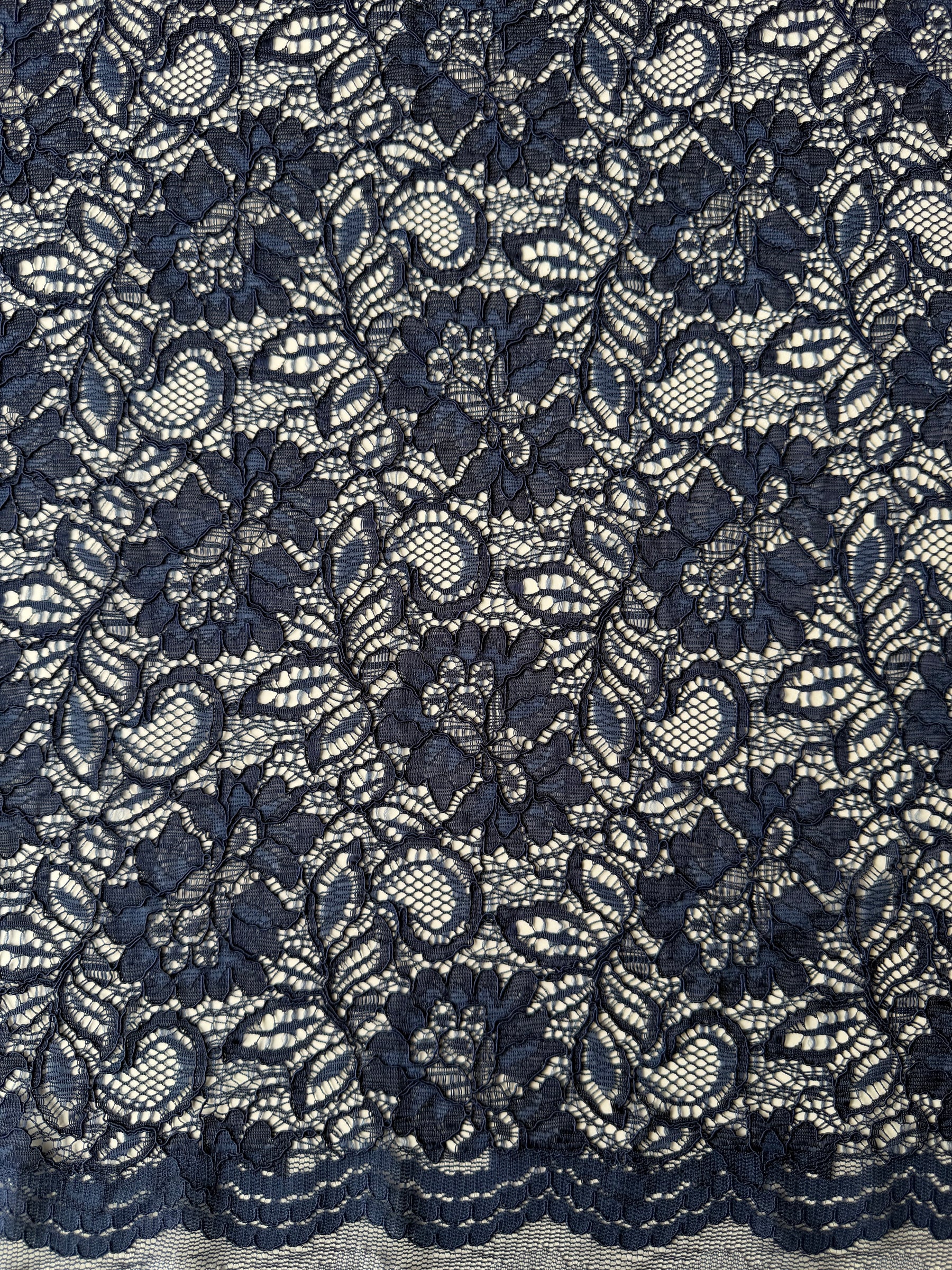 Arabian Blue Corded Lace - Tocca