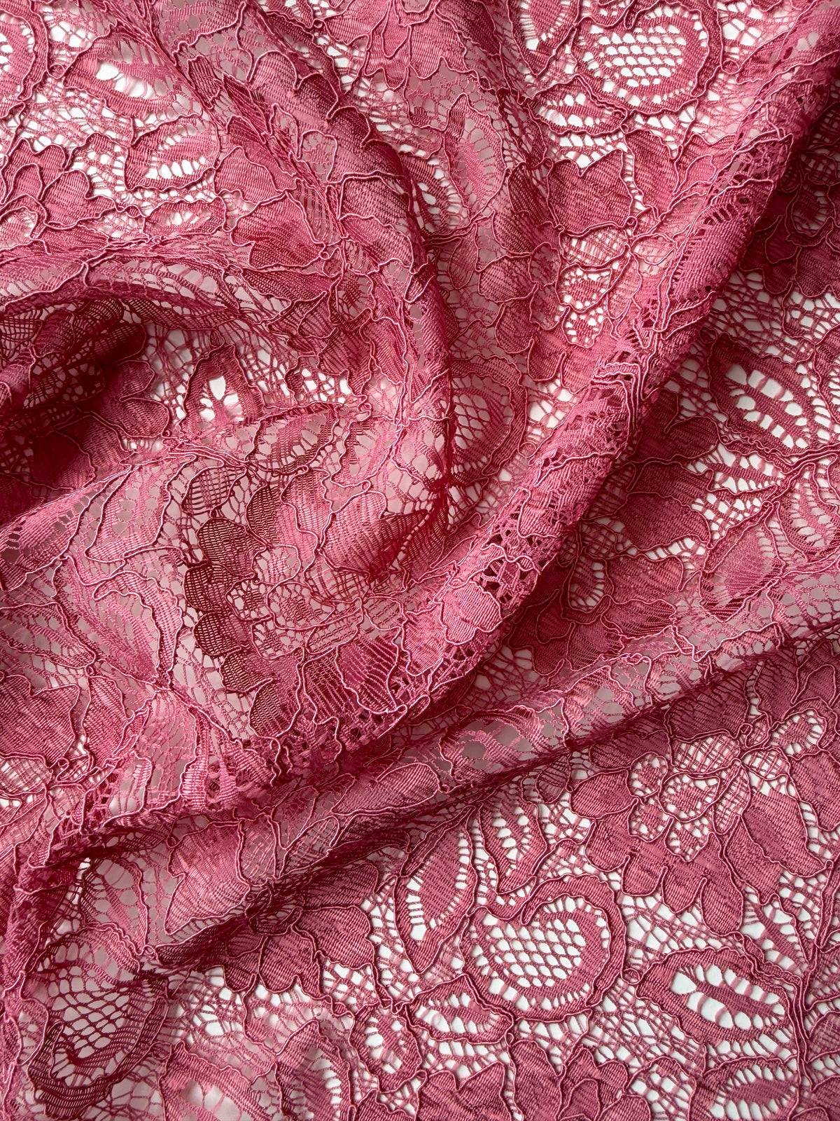Desert Rose Corded Lace - Tocca