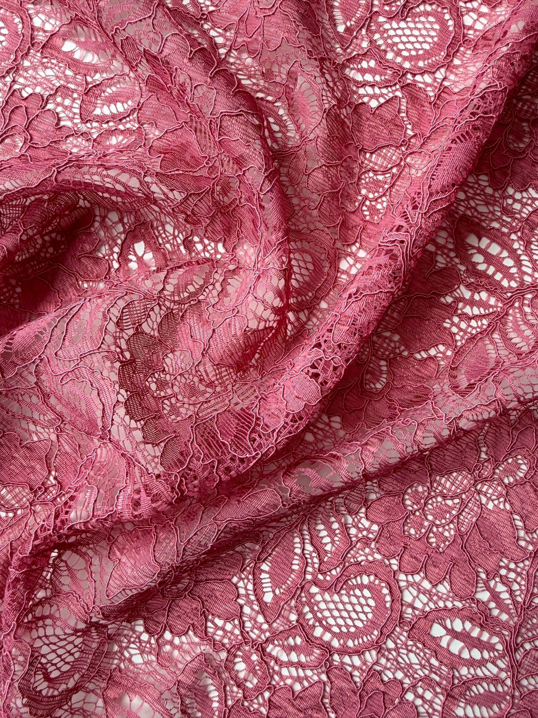 Desert Rose Corded Lace - Tocca