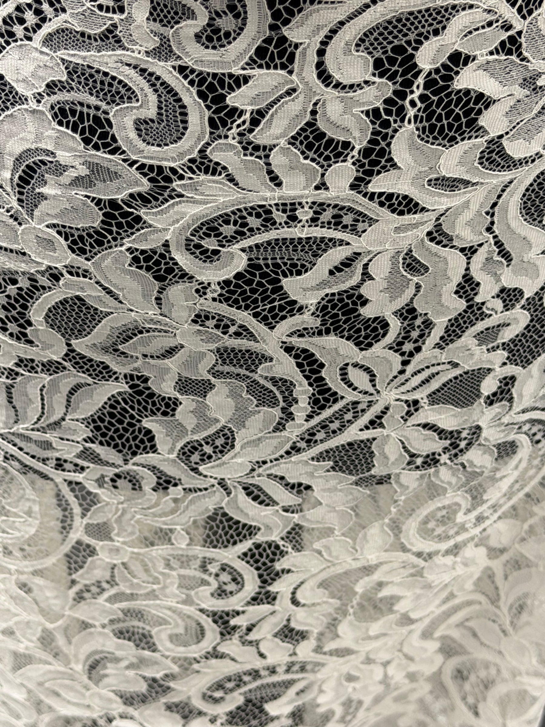 Ivory Corded Lace - LA7014