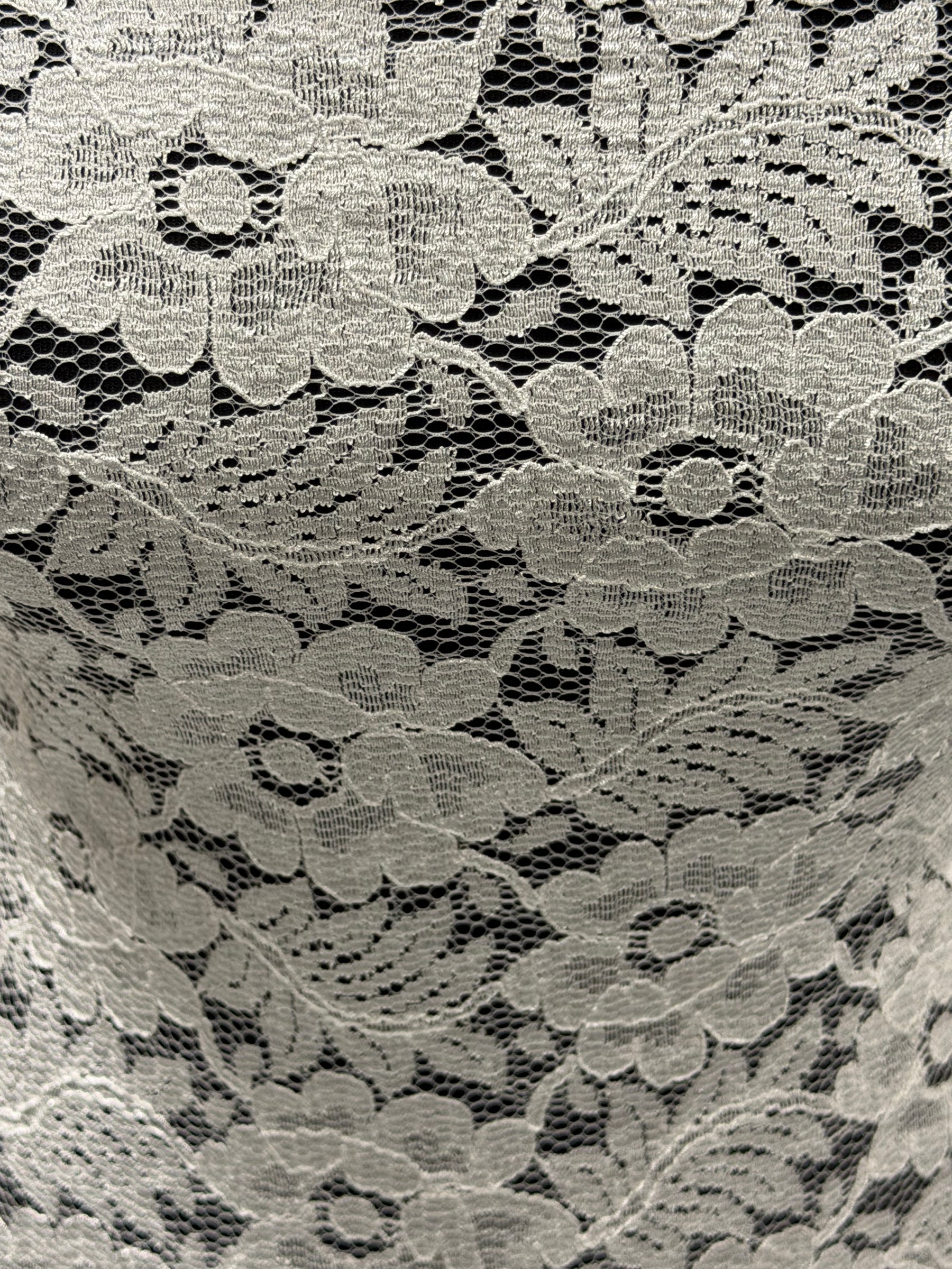 Pale Ivory Floral Lace - P199