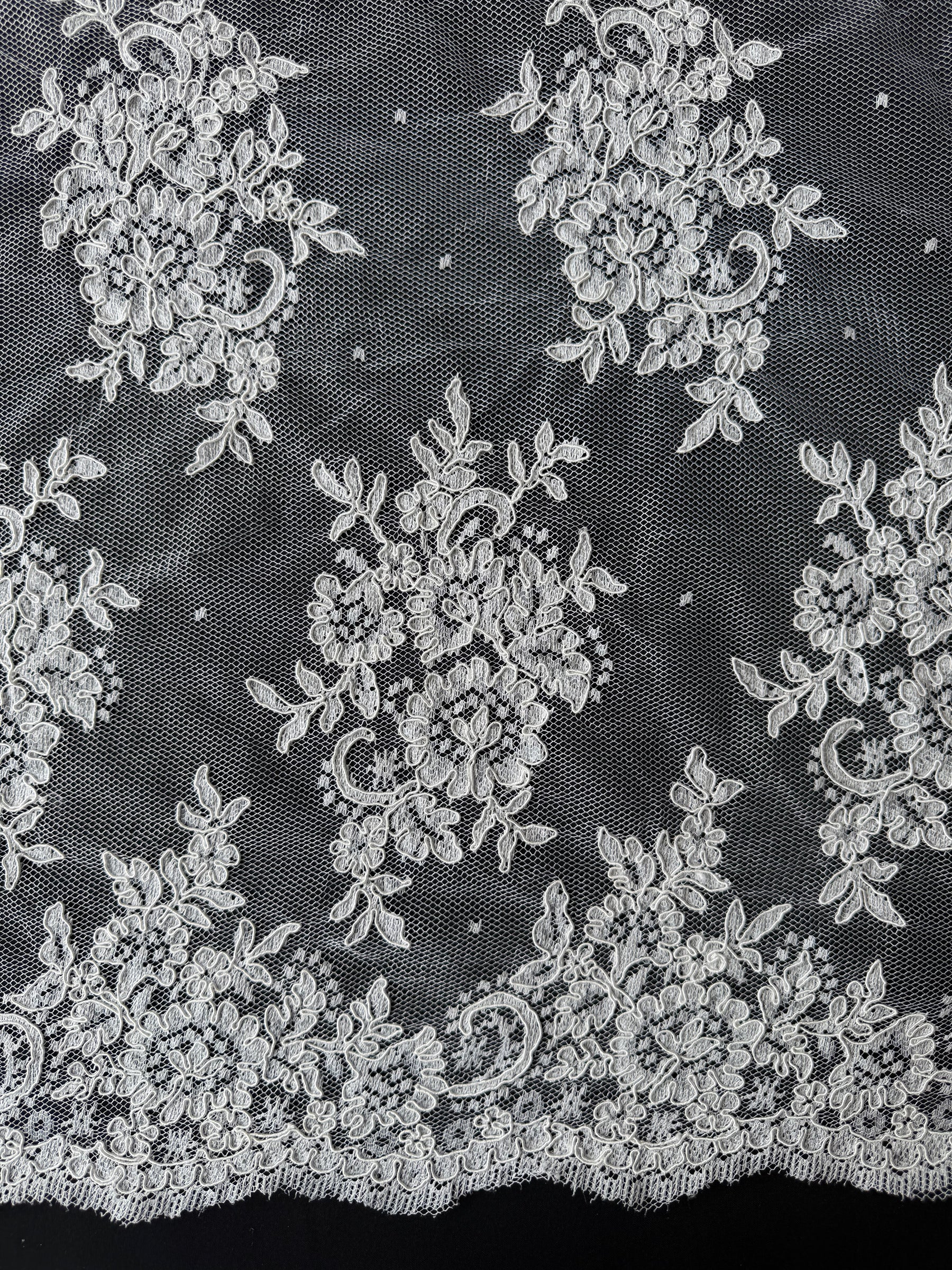 Ivory Corded Lace - LA7013