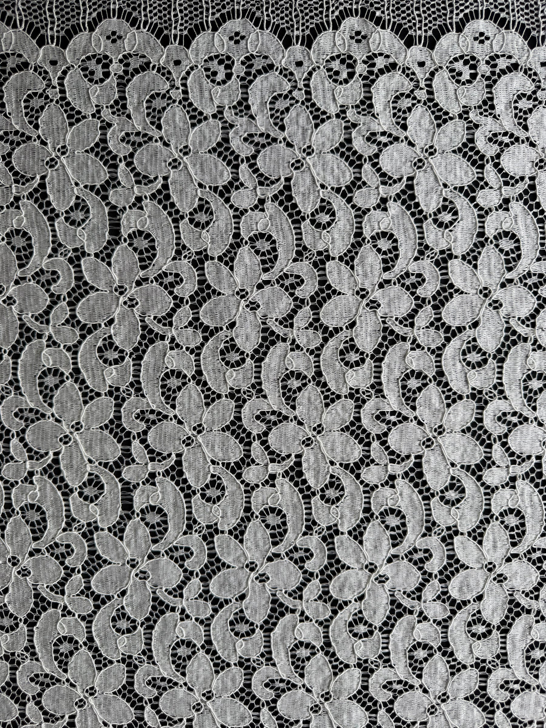 Ivory Corded French Lace - LA4008