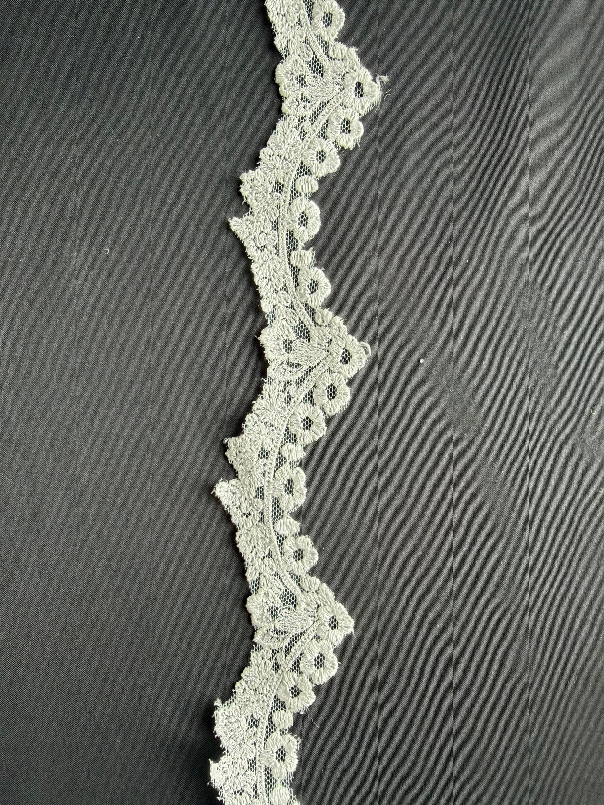 Ivory Embroidered Lace Trim - T744