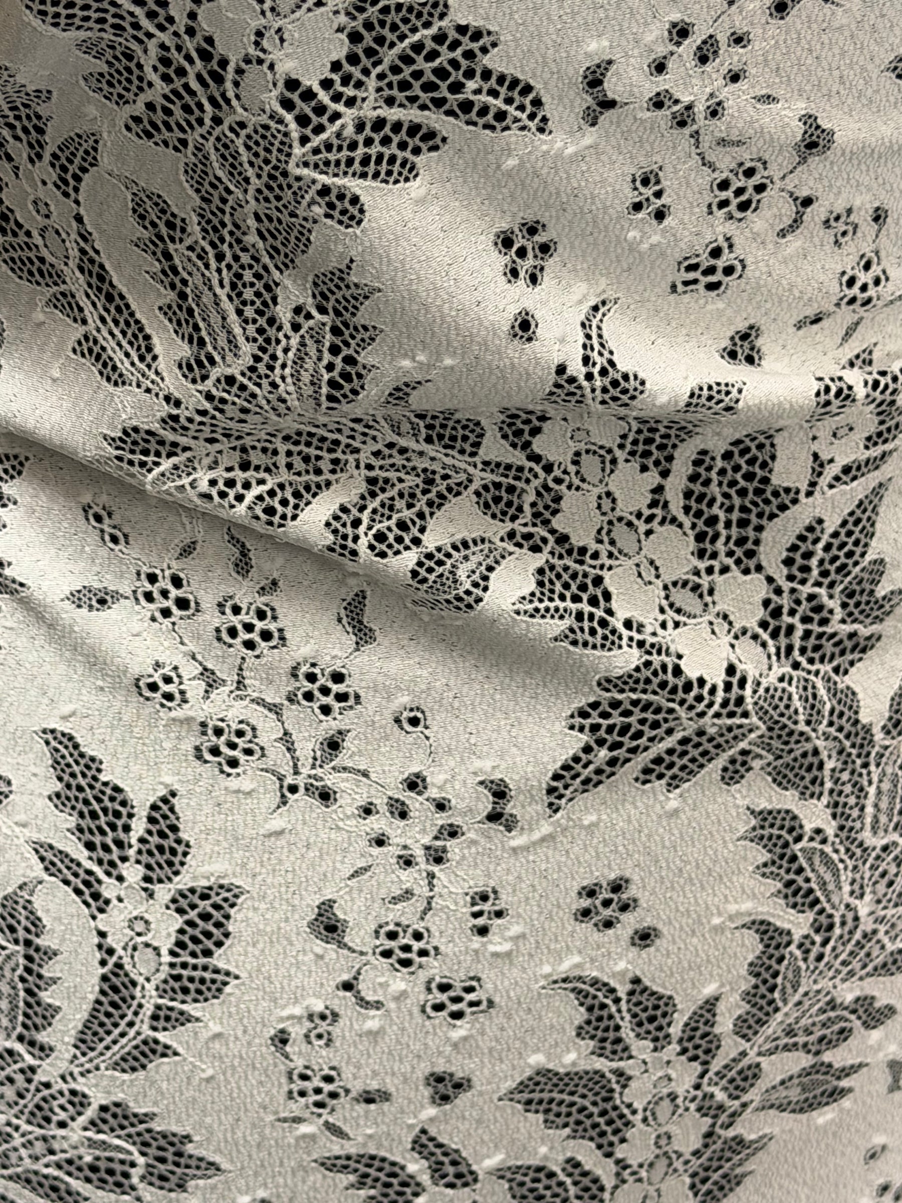 Ivory Stretch Corded Lace - LA7005