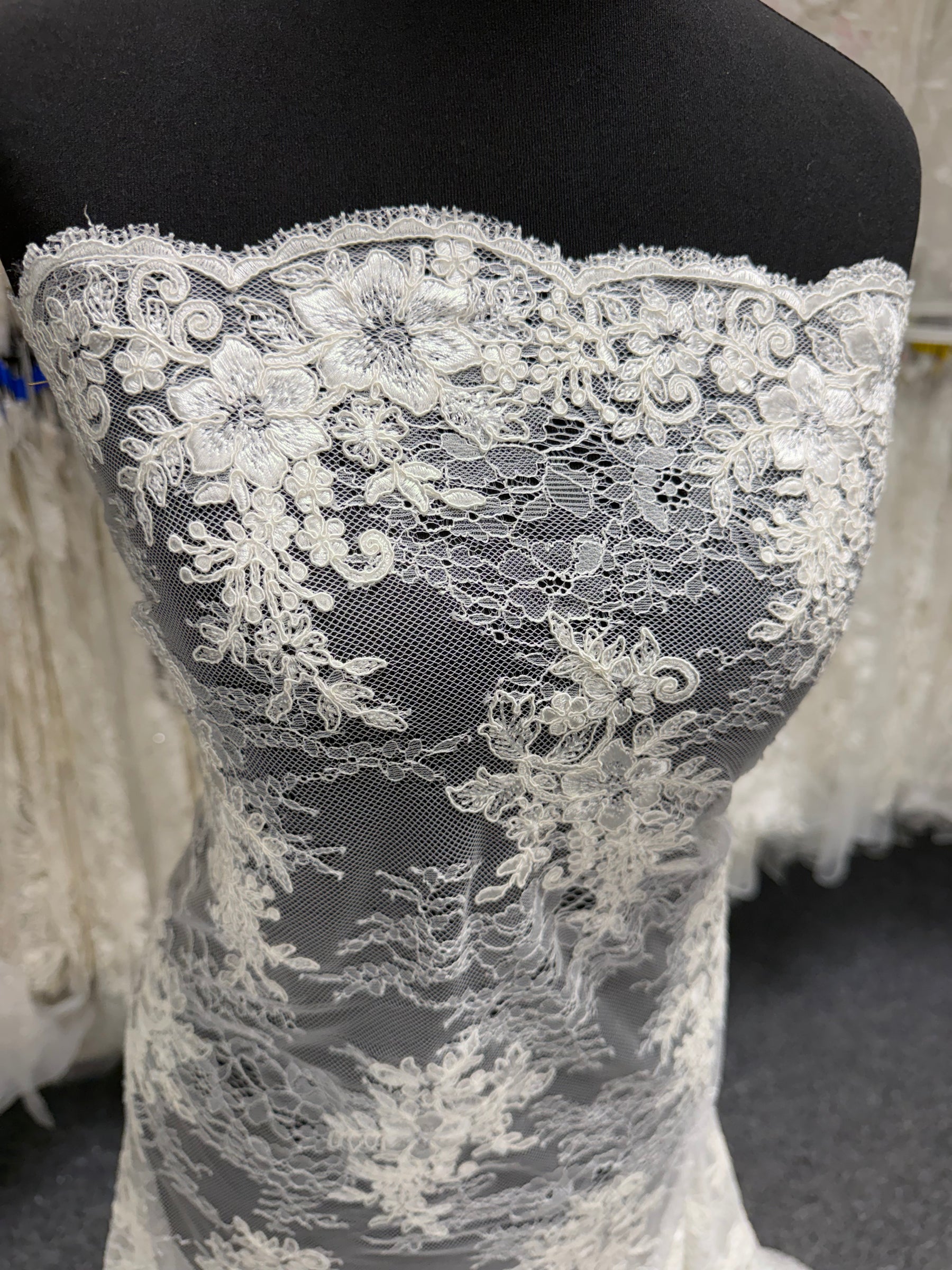 Ivory Corded Lace - P562